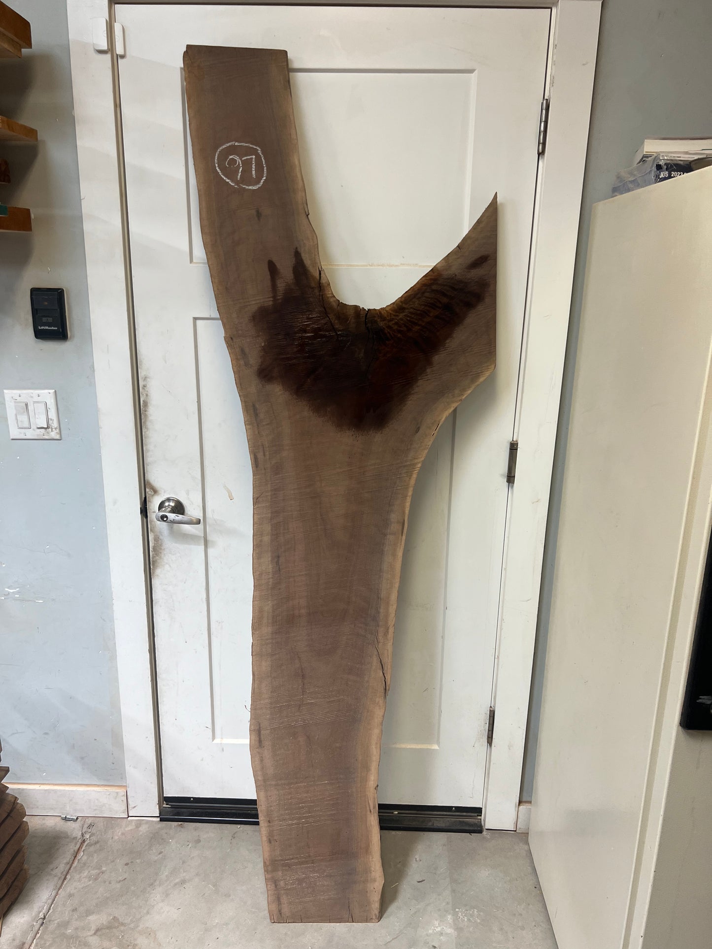 Walnut Live Edge Slab 80” (97)