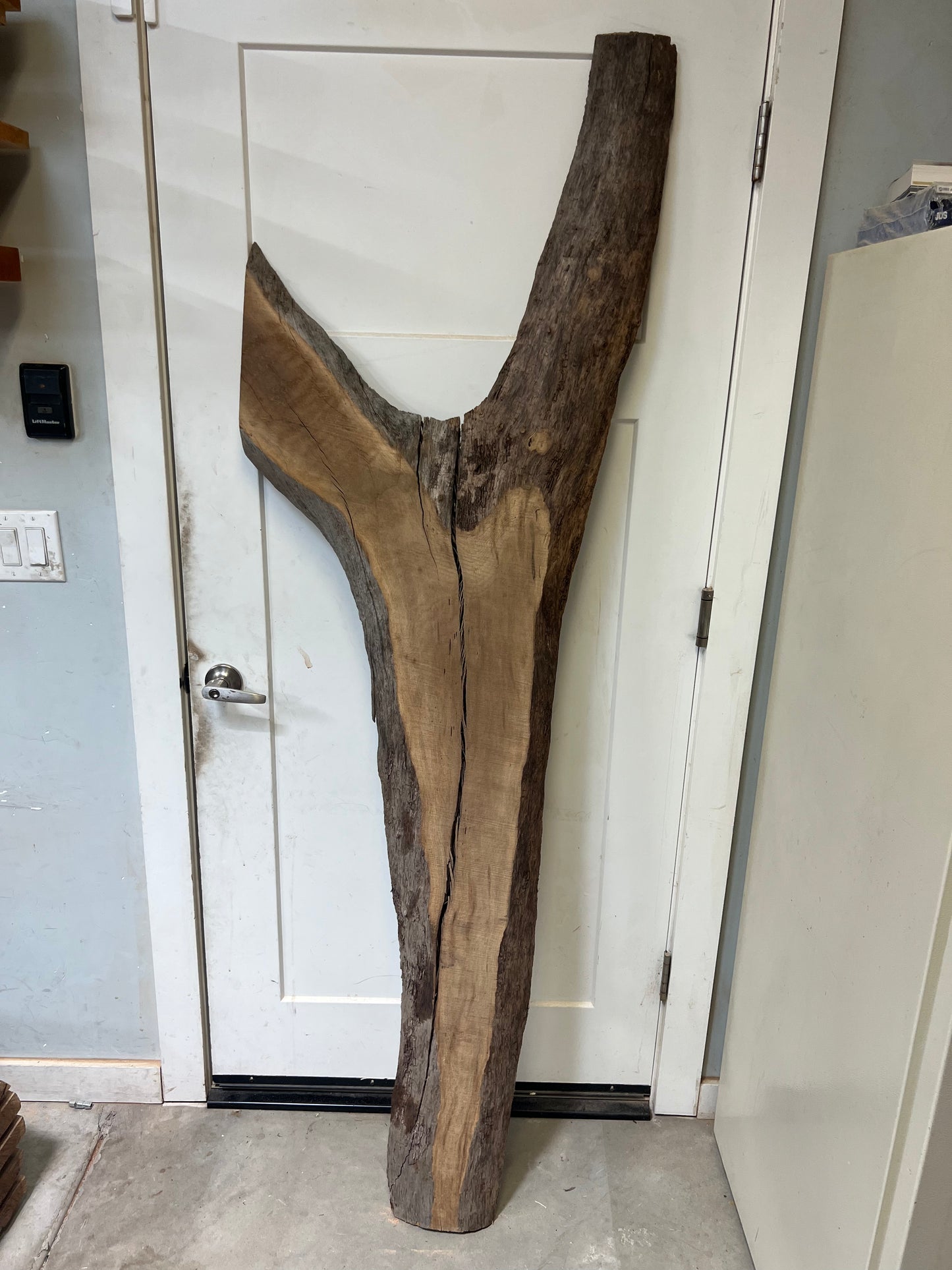 Walnut Live Edge Slab 80” (98)