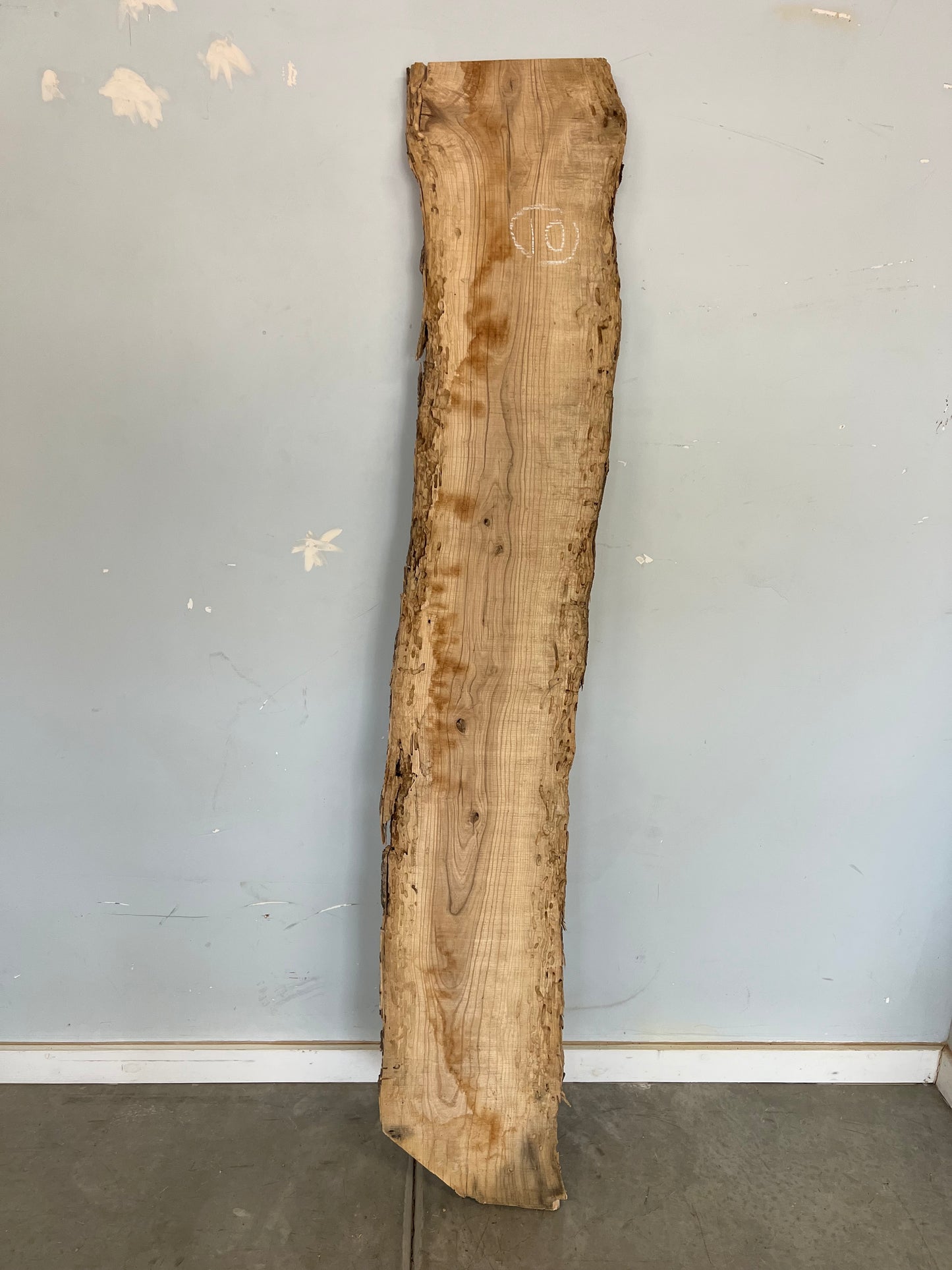 Live Edge Ash Slab 76" (10)