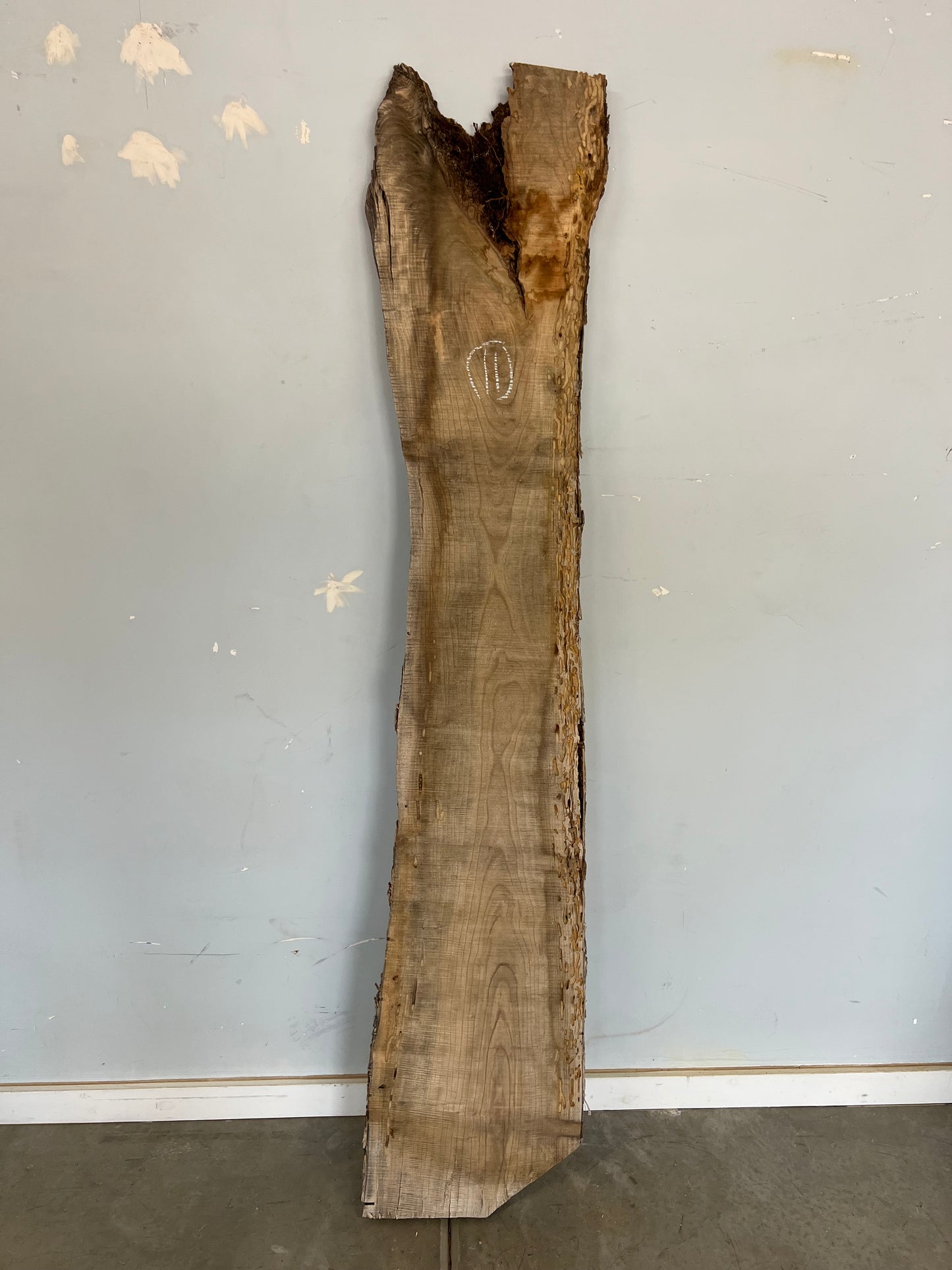Live Edge Ash Slab 78" (11)