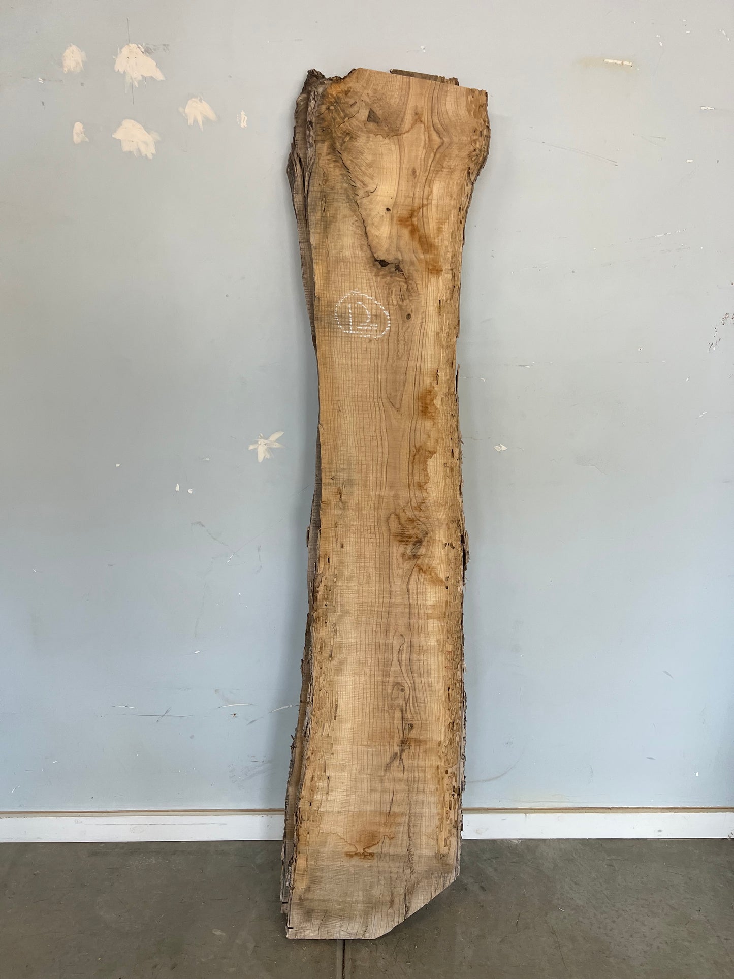 Live Edge Ash Slab 78" (12)