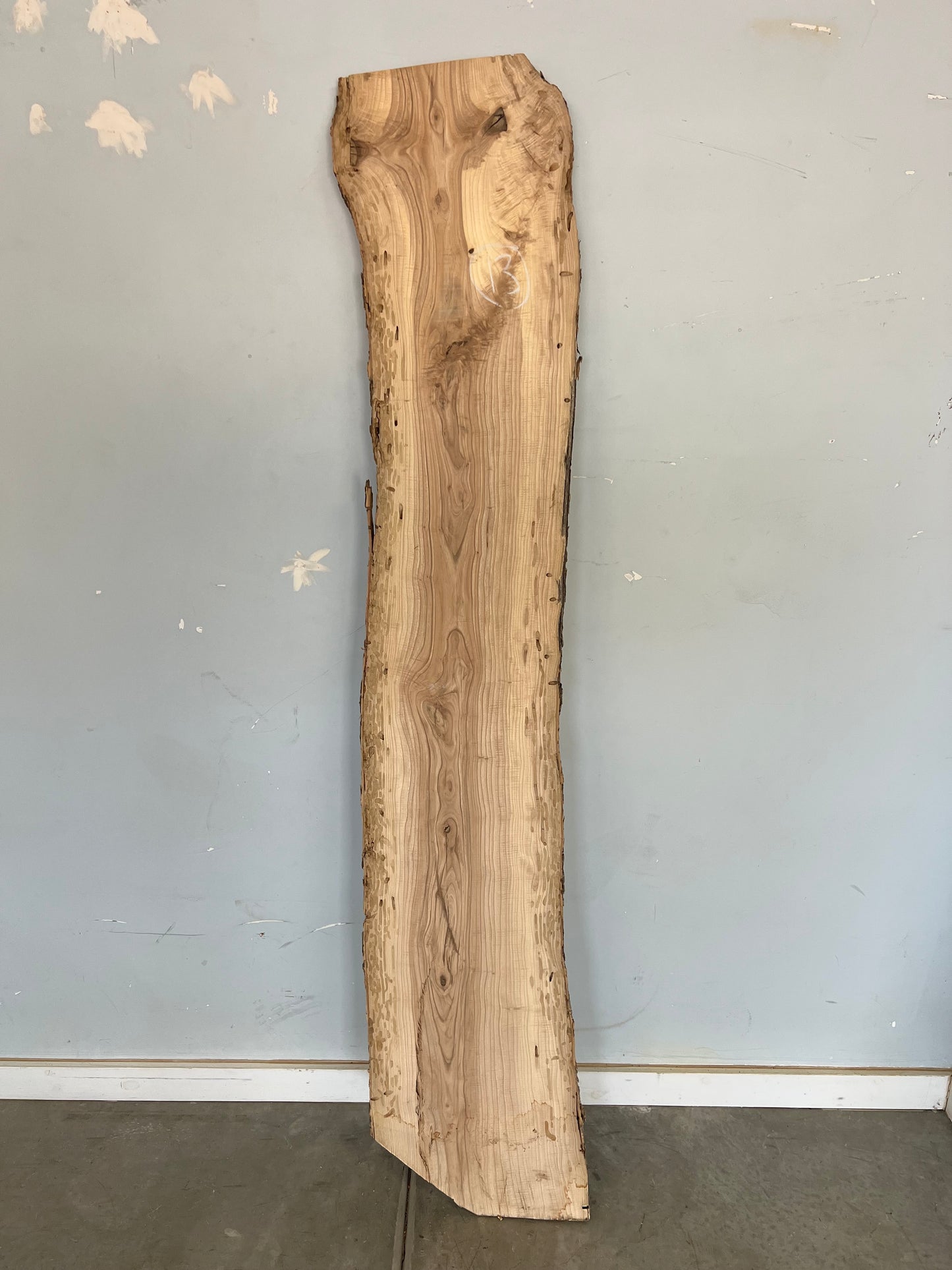 Live Edge Ash Slab 77" (13)