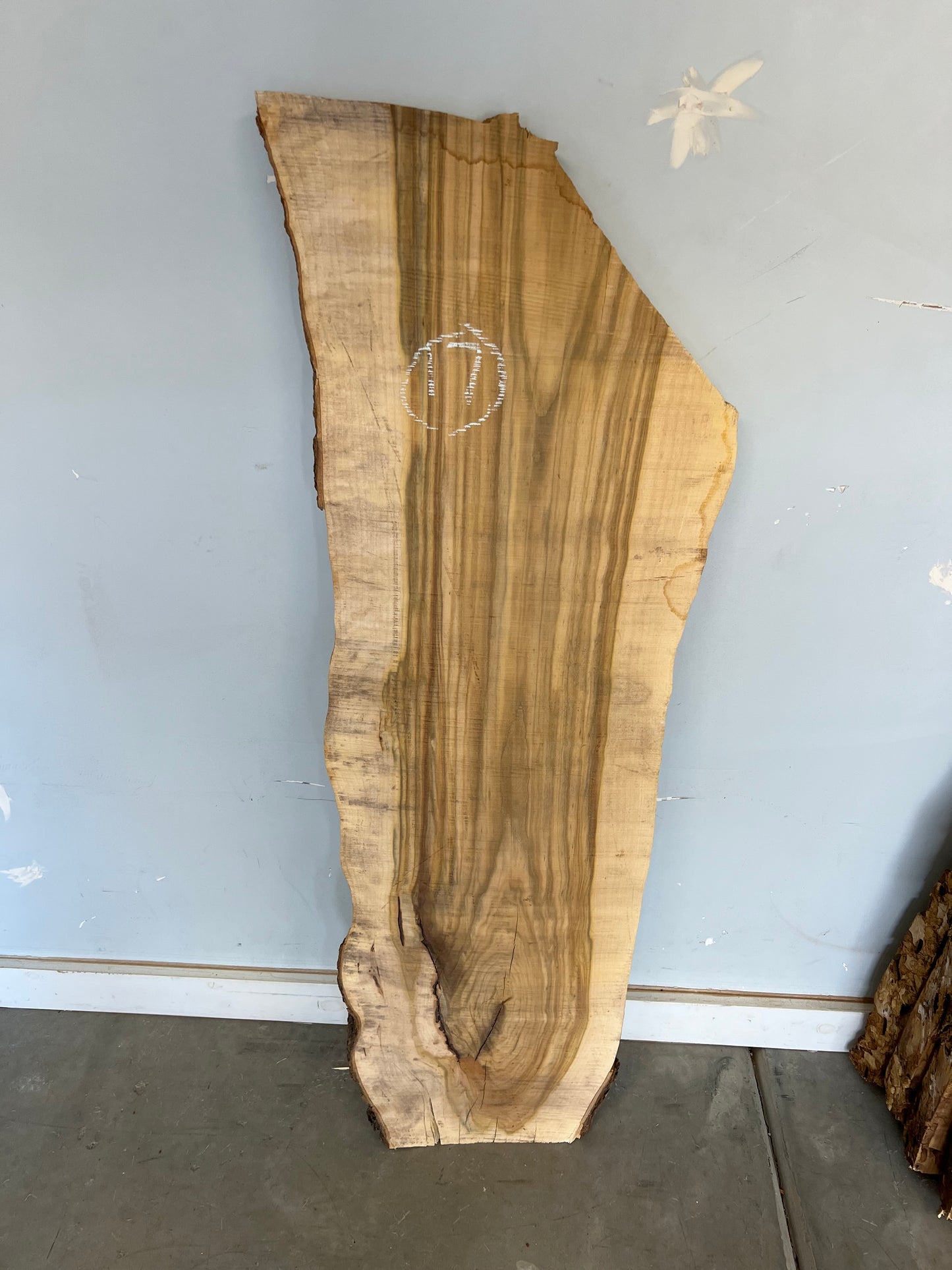 Live Edge Pistachio Slab 46" (17)