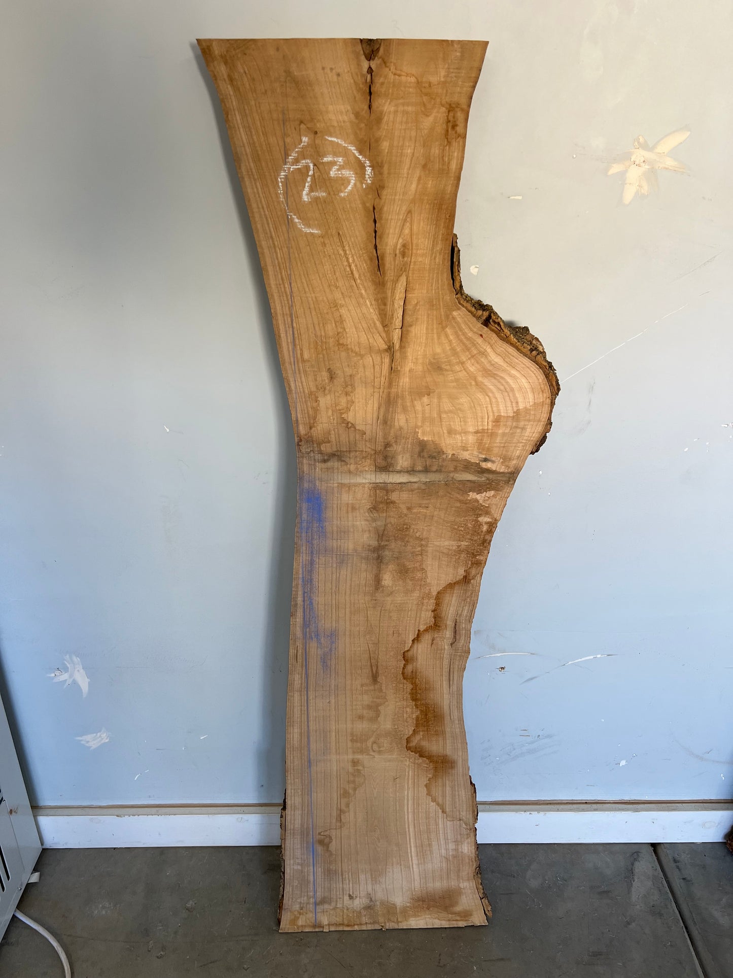 Live Edge Ash Slab 50" (23)