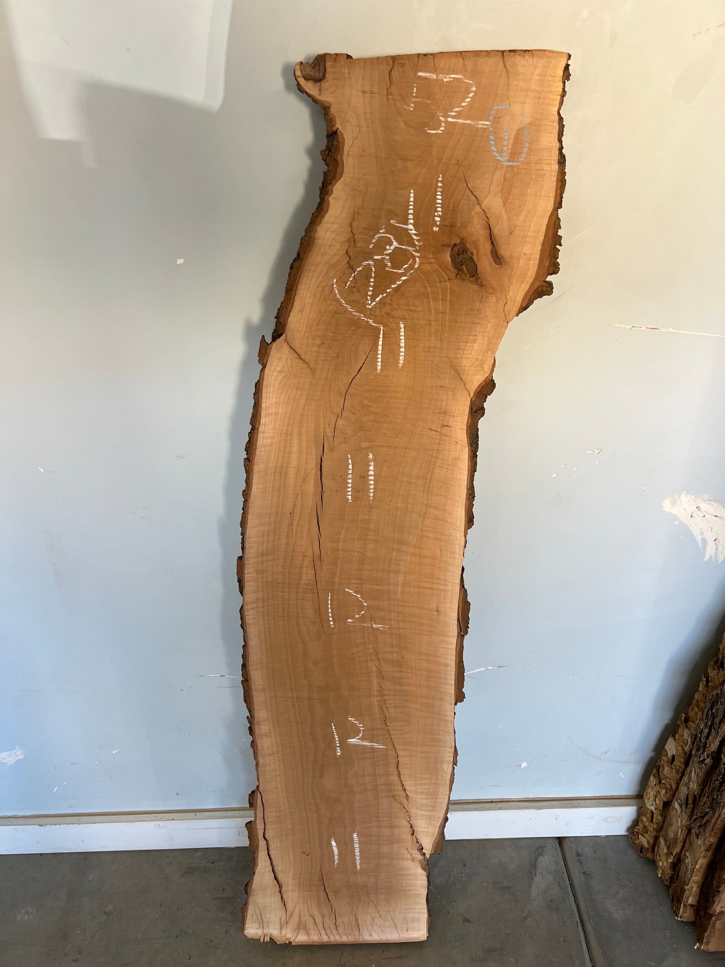 Live Edge Pear Slab 52" (28)