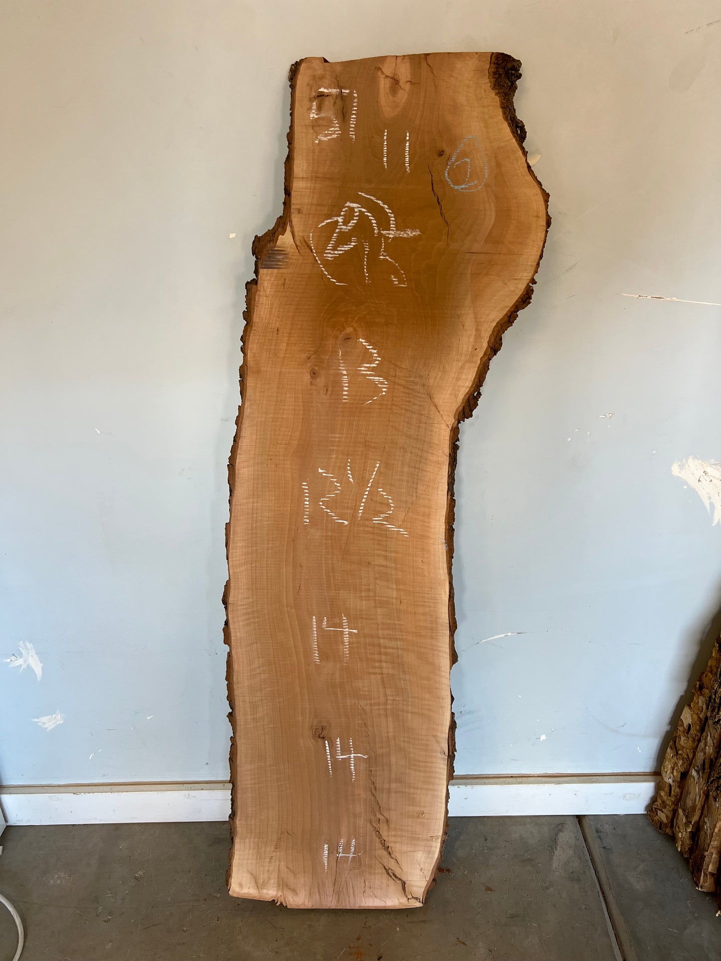 Live Edge Pear Slab
