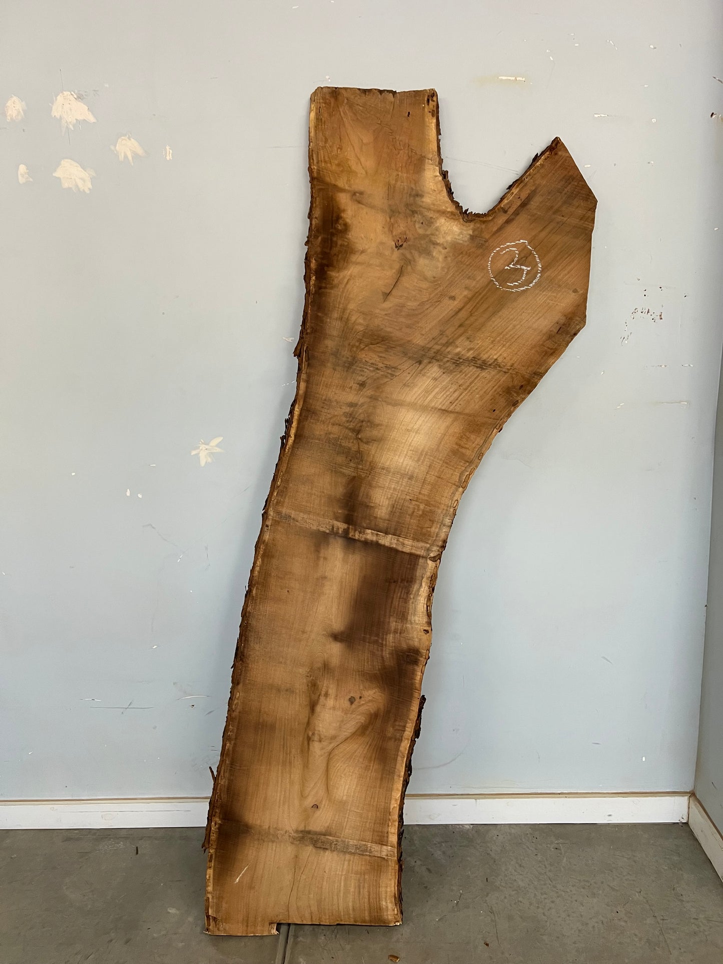 Live Edge Mesquite Slab 81" (3)