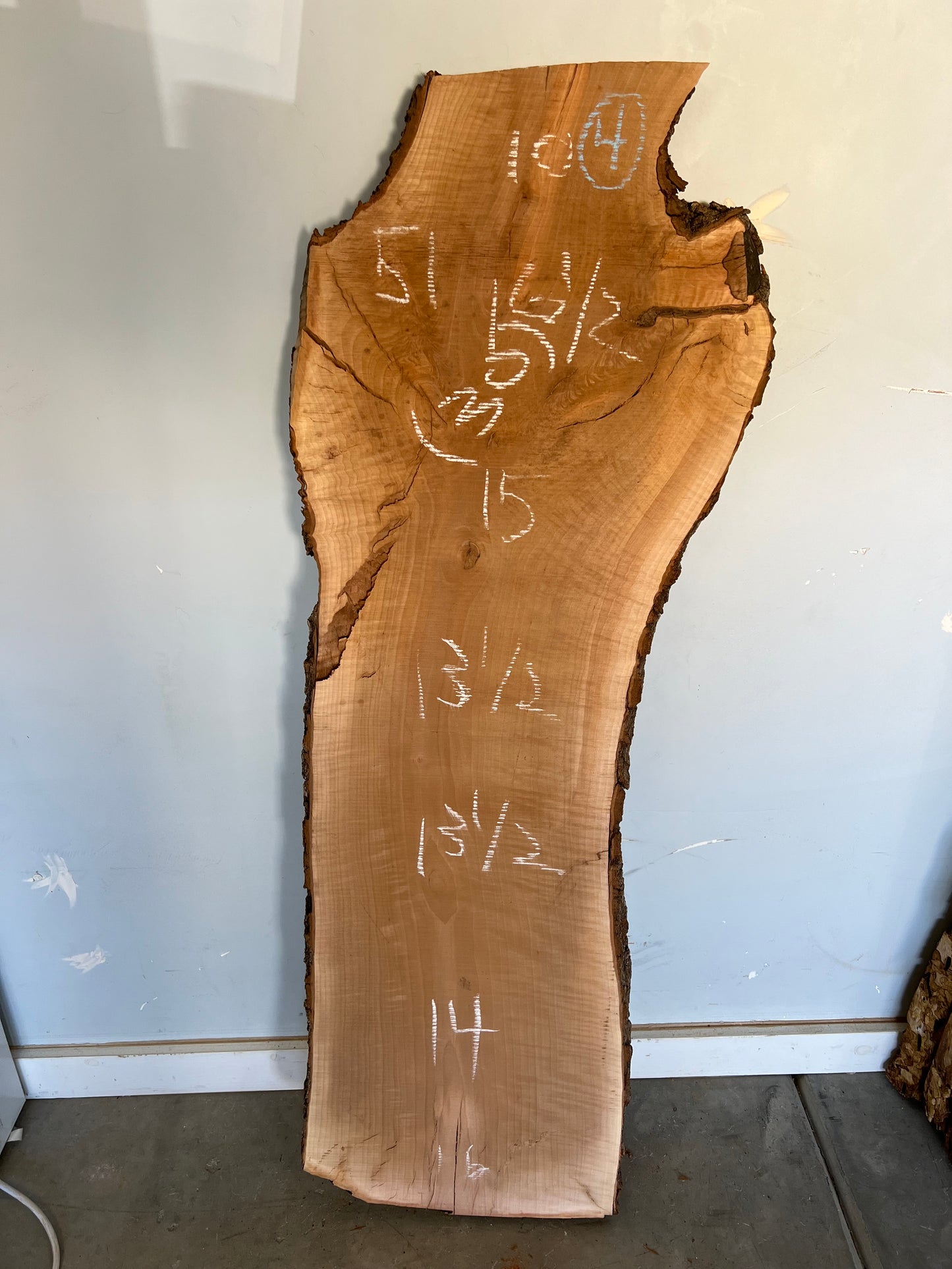Live Edge Pear Slab 51" (30)