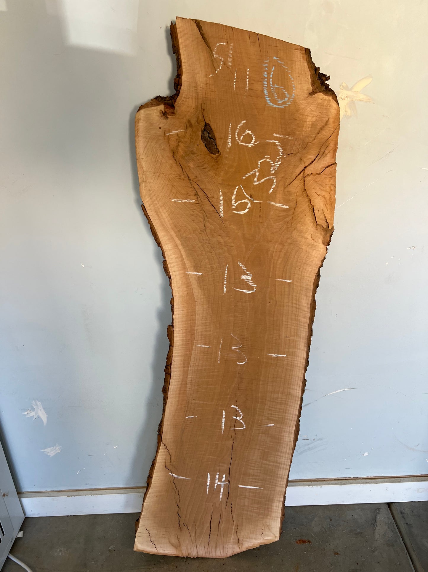 Live Edge Pear Slab 51" (32)