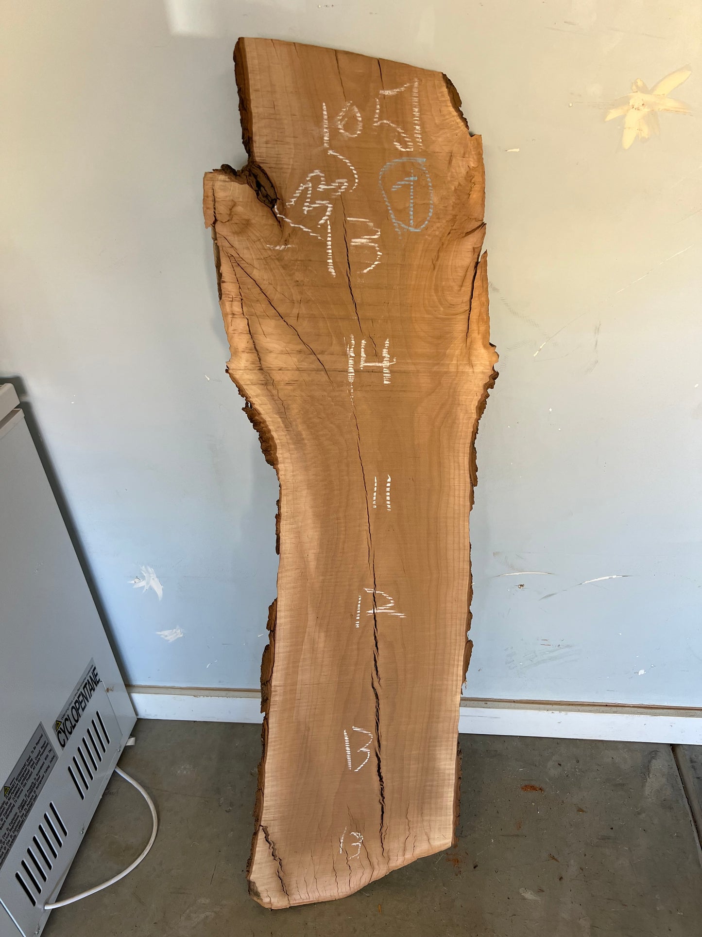 Live Edge Pear Slab 51" (33)
