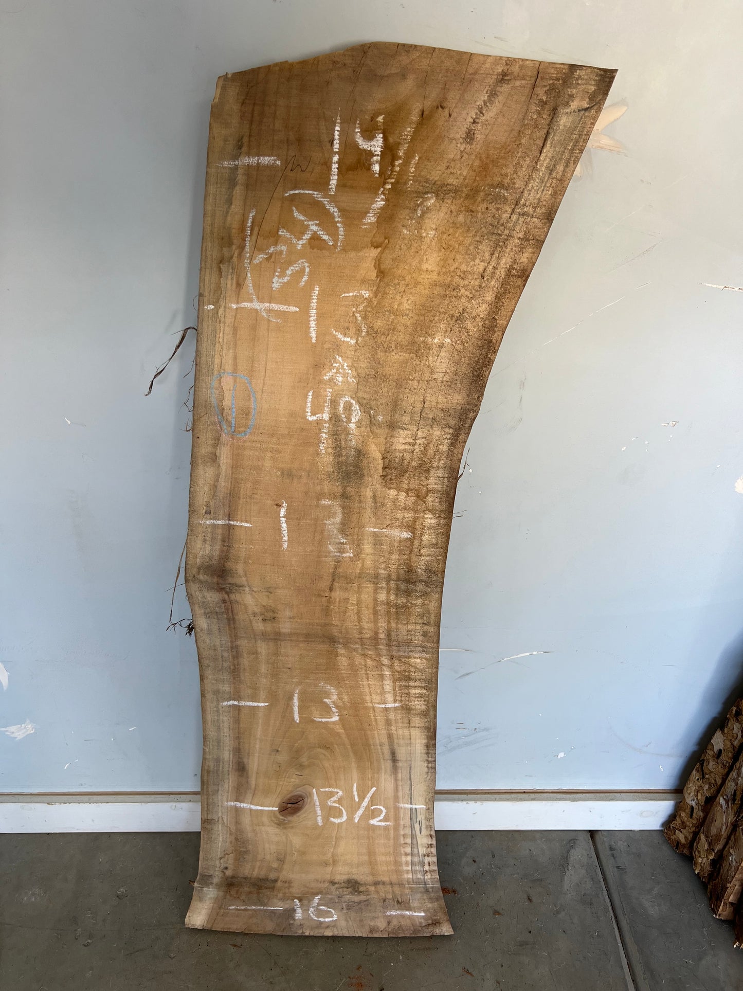 Live Edge Cottonwood Slab 49" (34)
