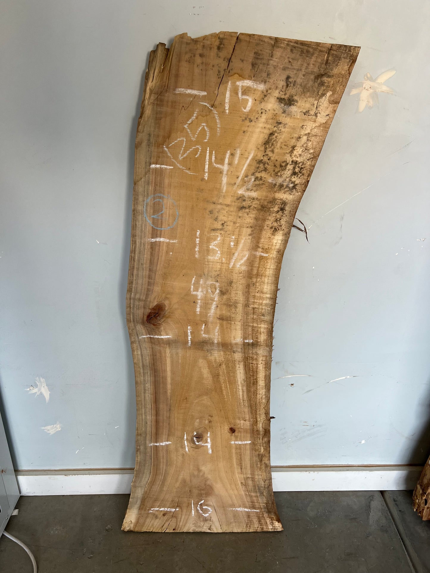 Live Edge Cottonwood Slab 49" (35)