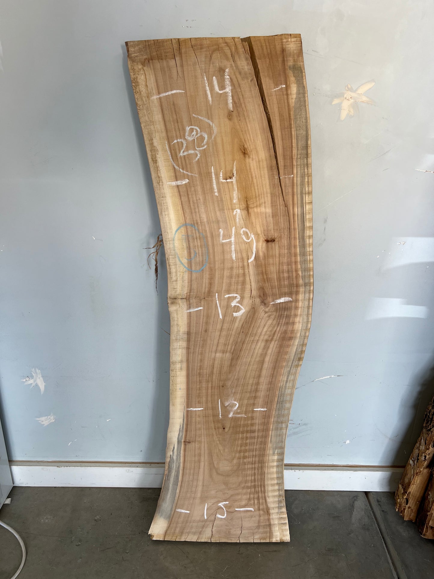 Live Edge Cottonwood Slab 49" (38)