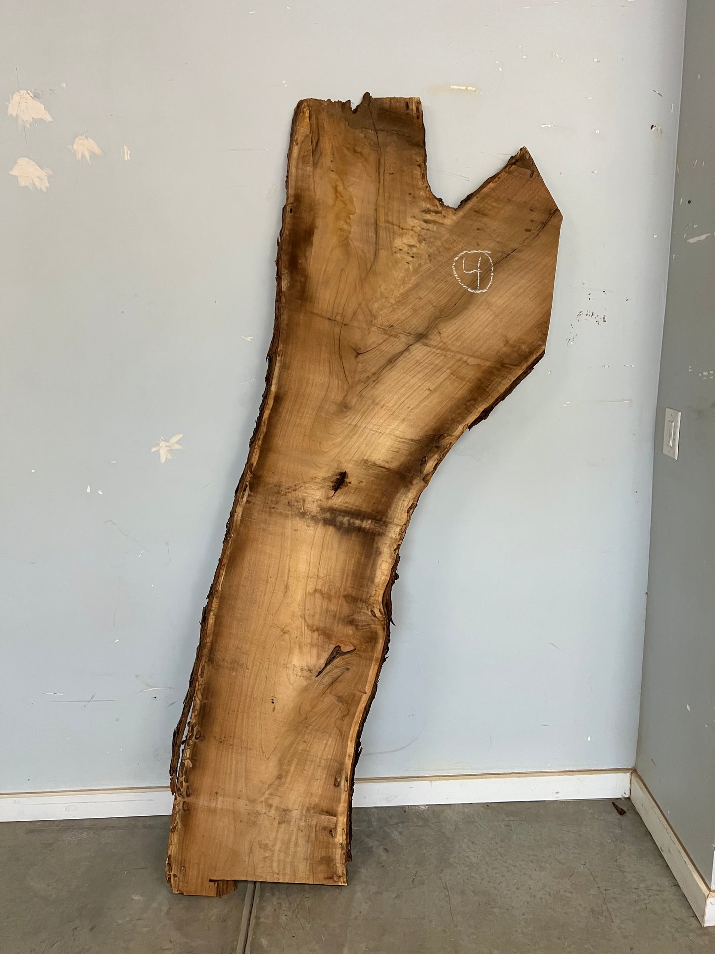 Live Edge Mesquite Slab 81" (4)