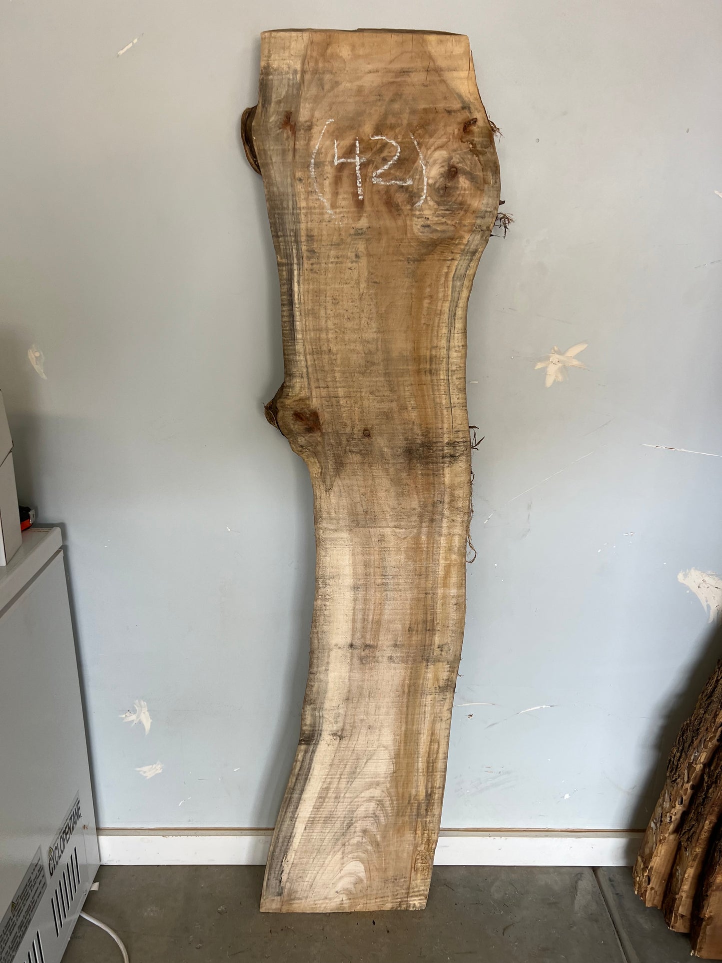 Live Edge Cottonwood Slab 64" (42)