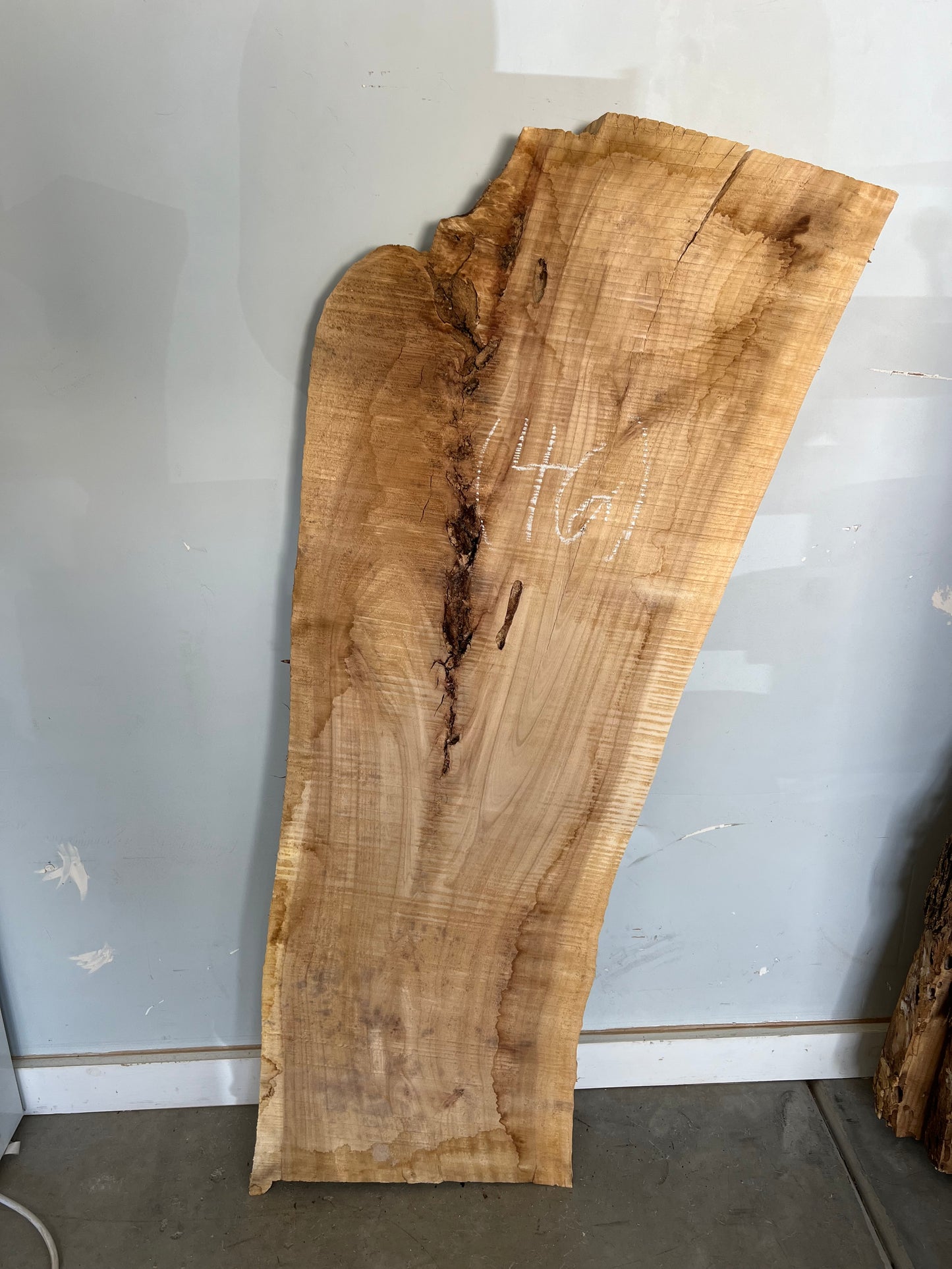 Live Edge Cottonwood Slab 52" (46)