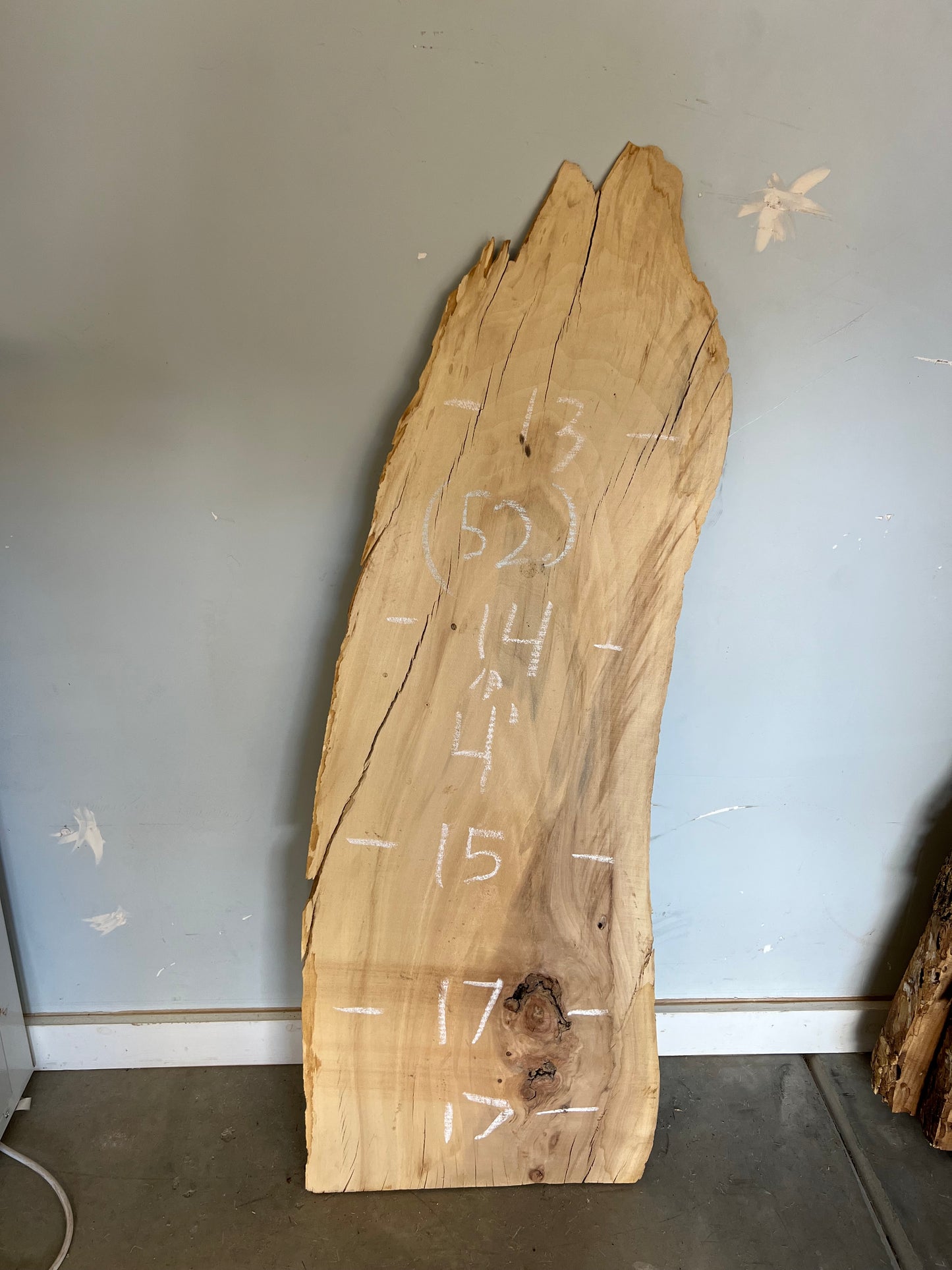 Live Edge Cottonwood Slab 48" (52)