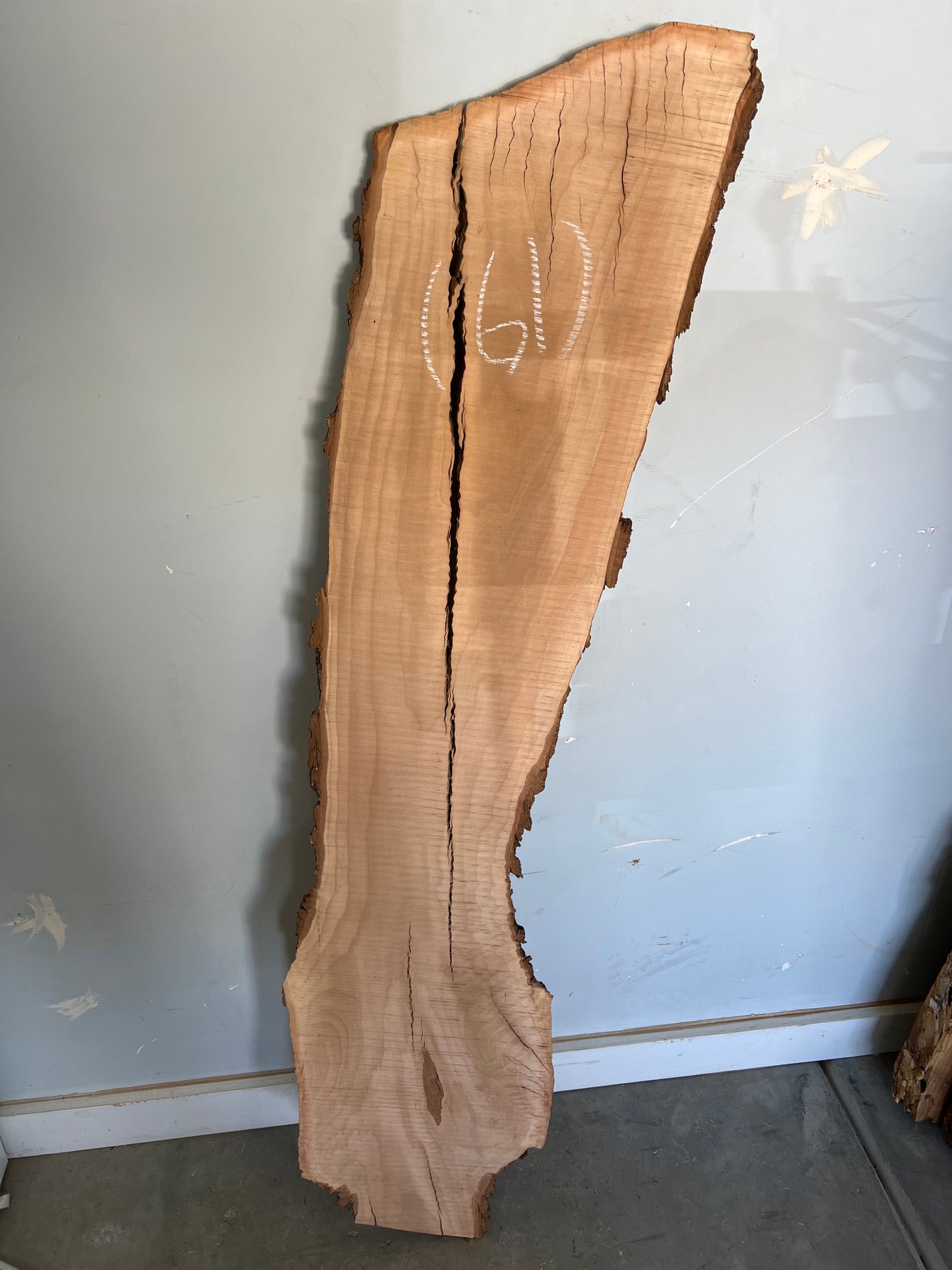 Live Edge Pear Slab 48" (61)