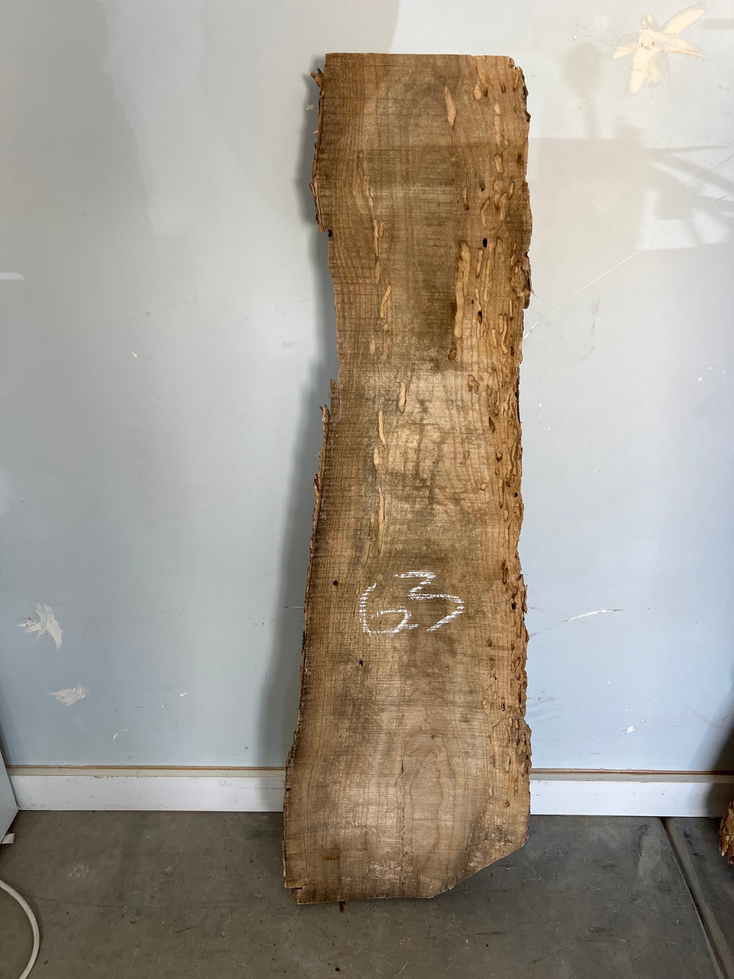 Live Edge Ash Slab 45" (63)