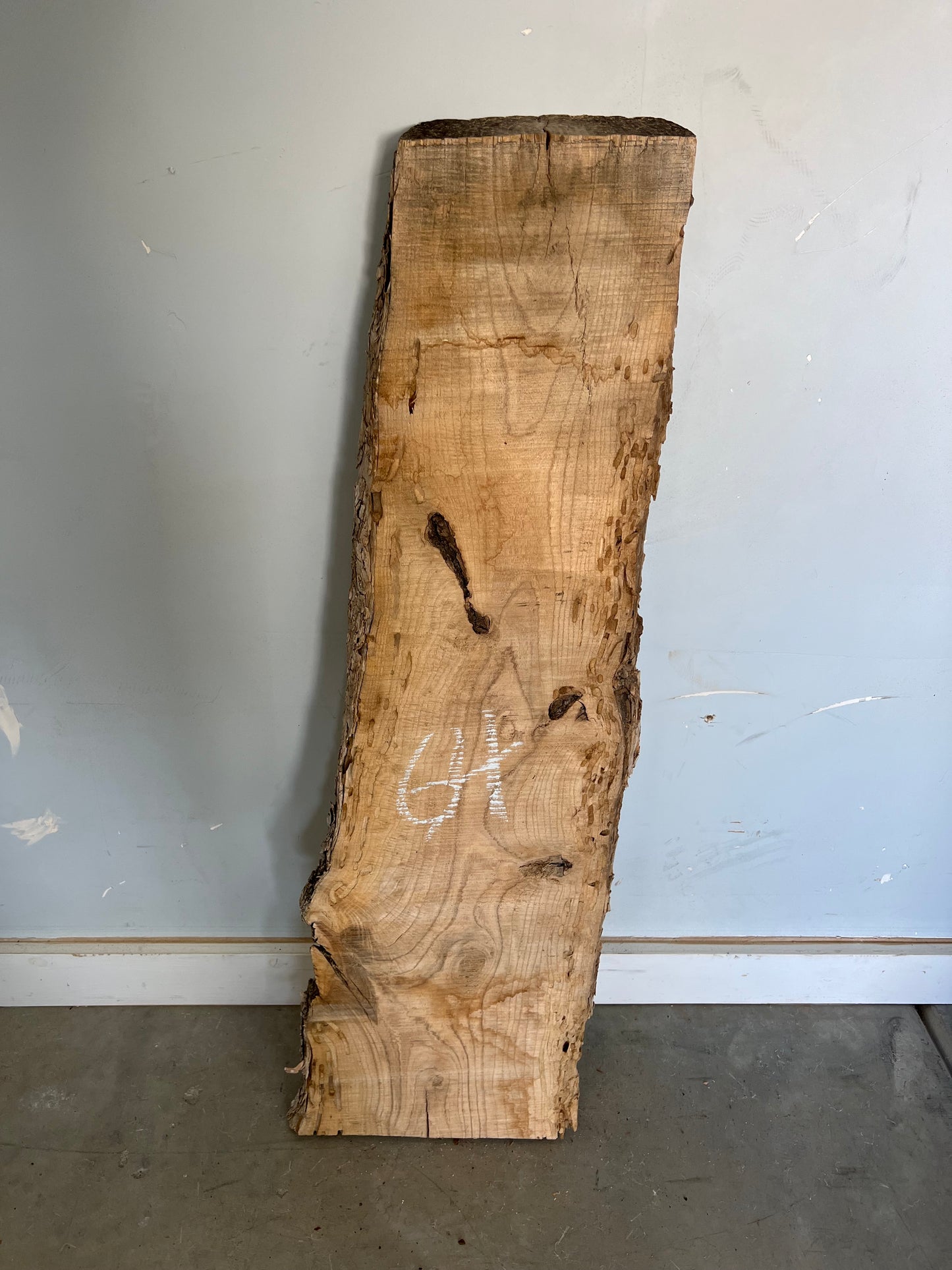 Live Edge Ash Slab 36" (64)