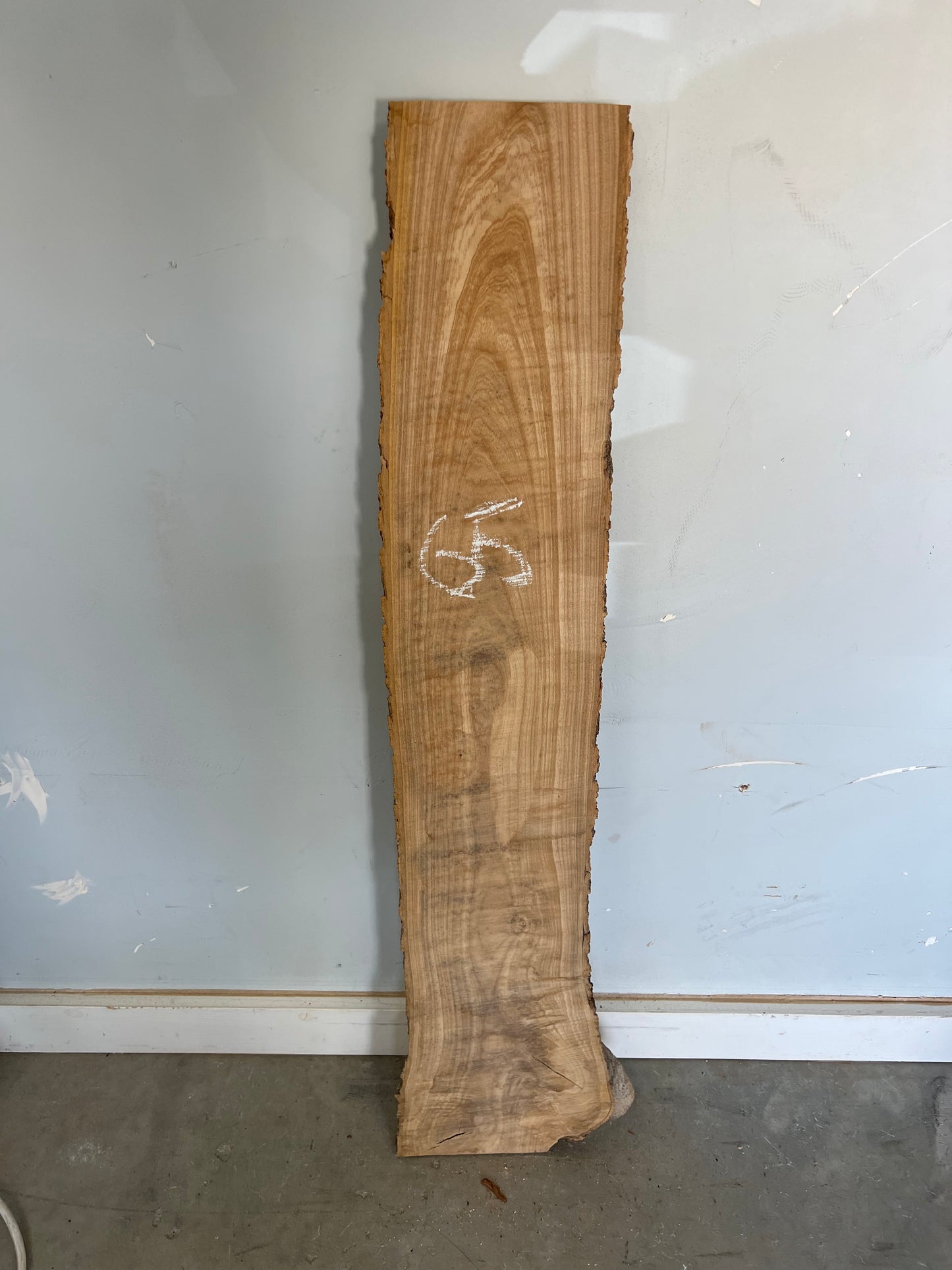Live Edge Ash Slab 38" (65)