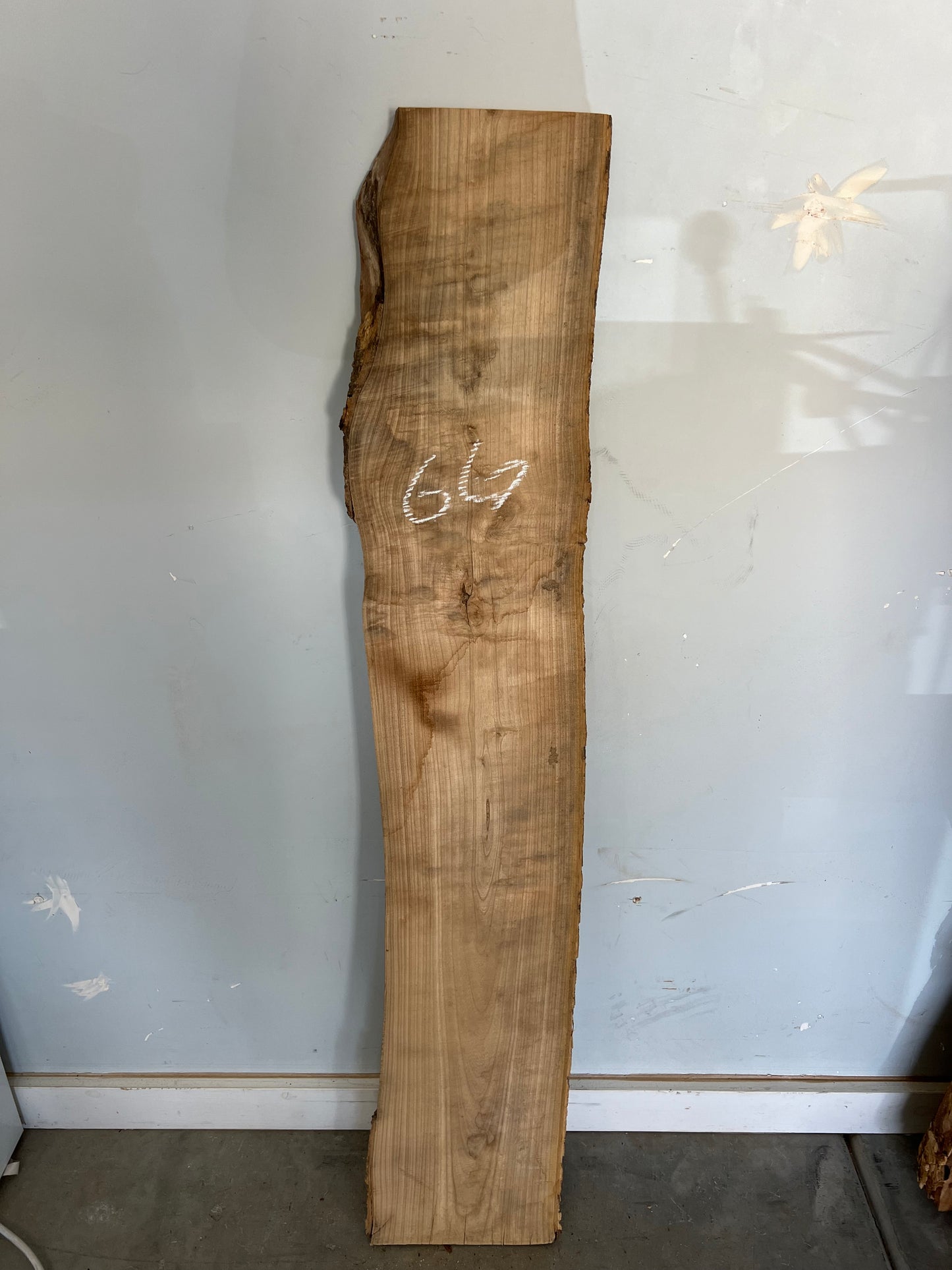 Live Edge Ash Slab 49" (66)