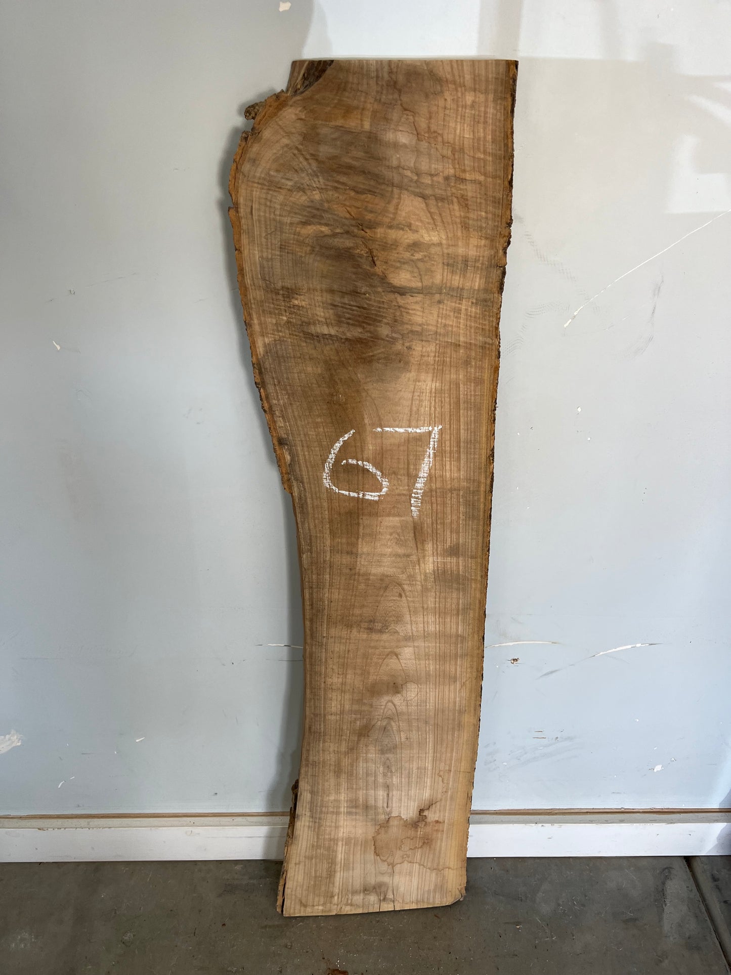 Live Edge Ash Slab 42" (67)