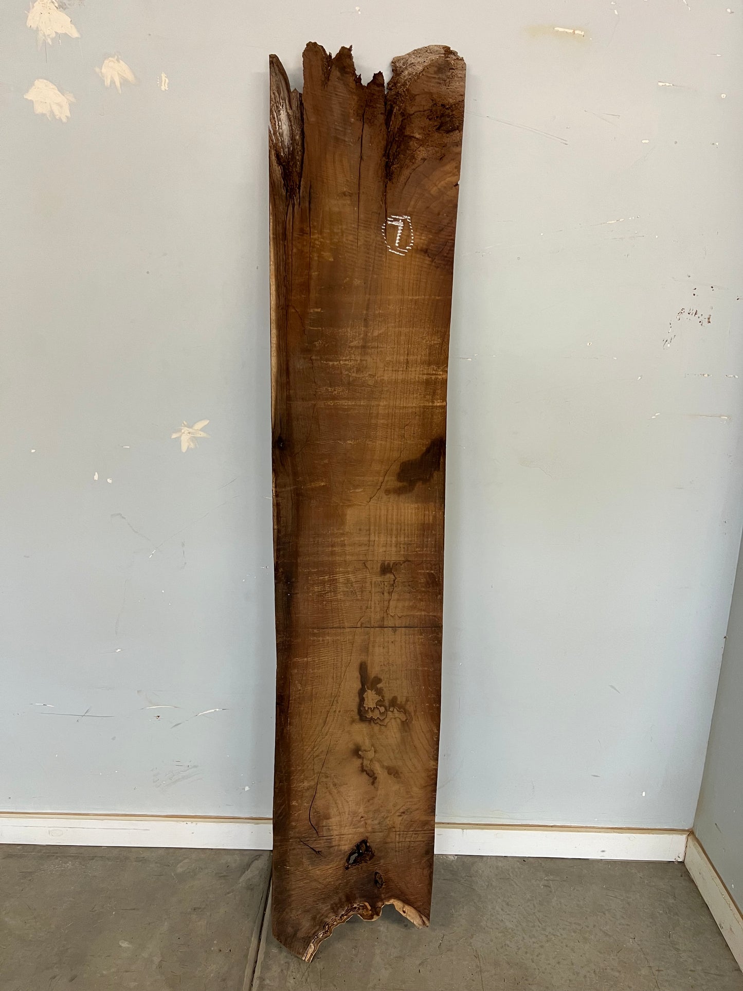 Live Edge Mulberry Slab 66" (7)