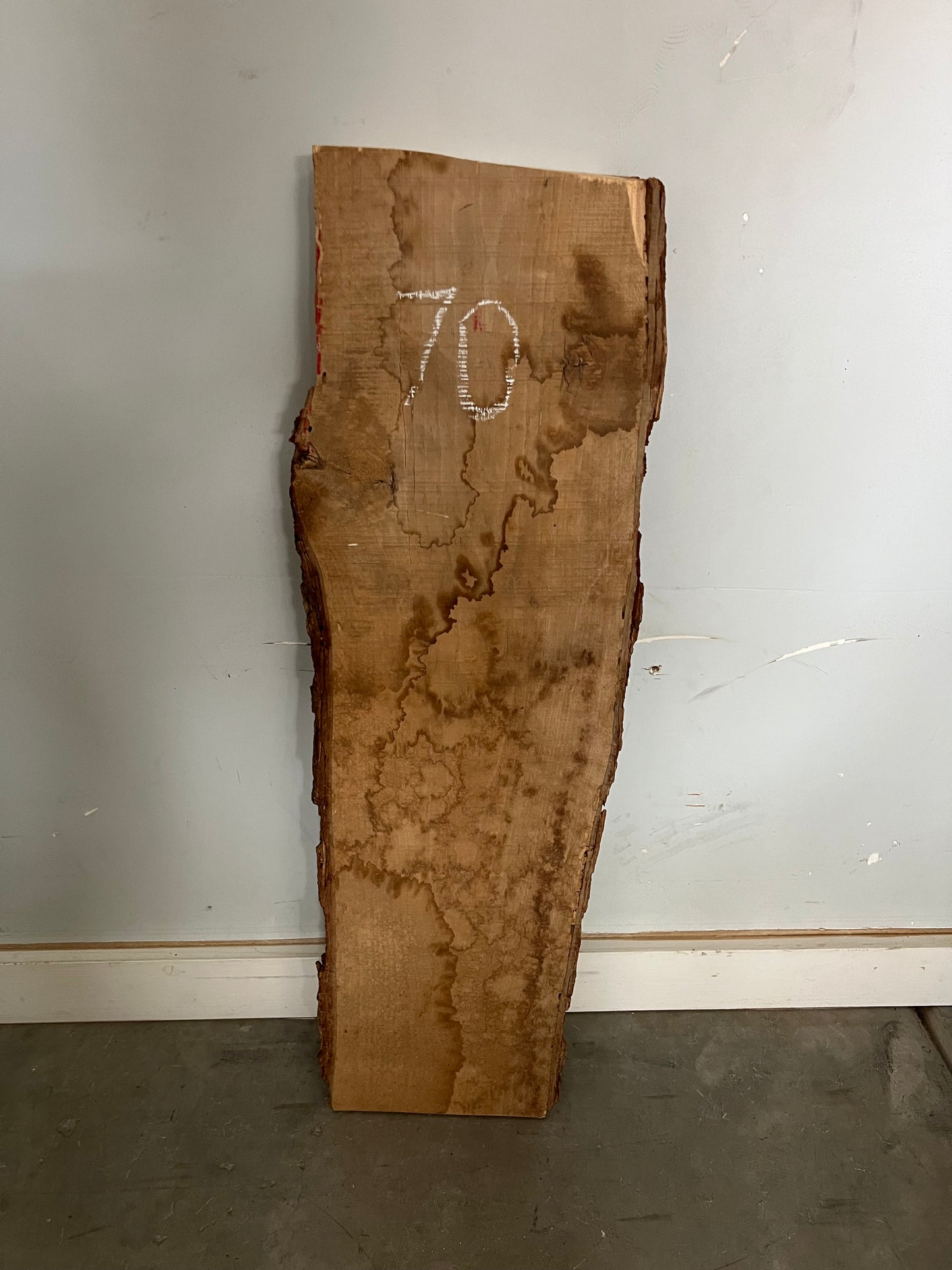 Live Edge Ash Slab 32" (70)