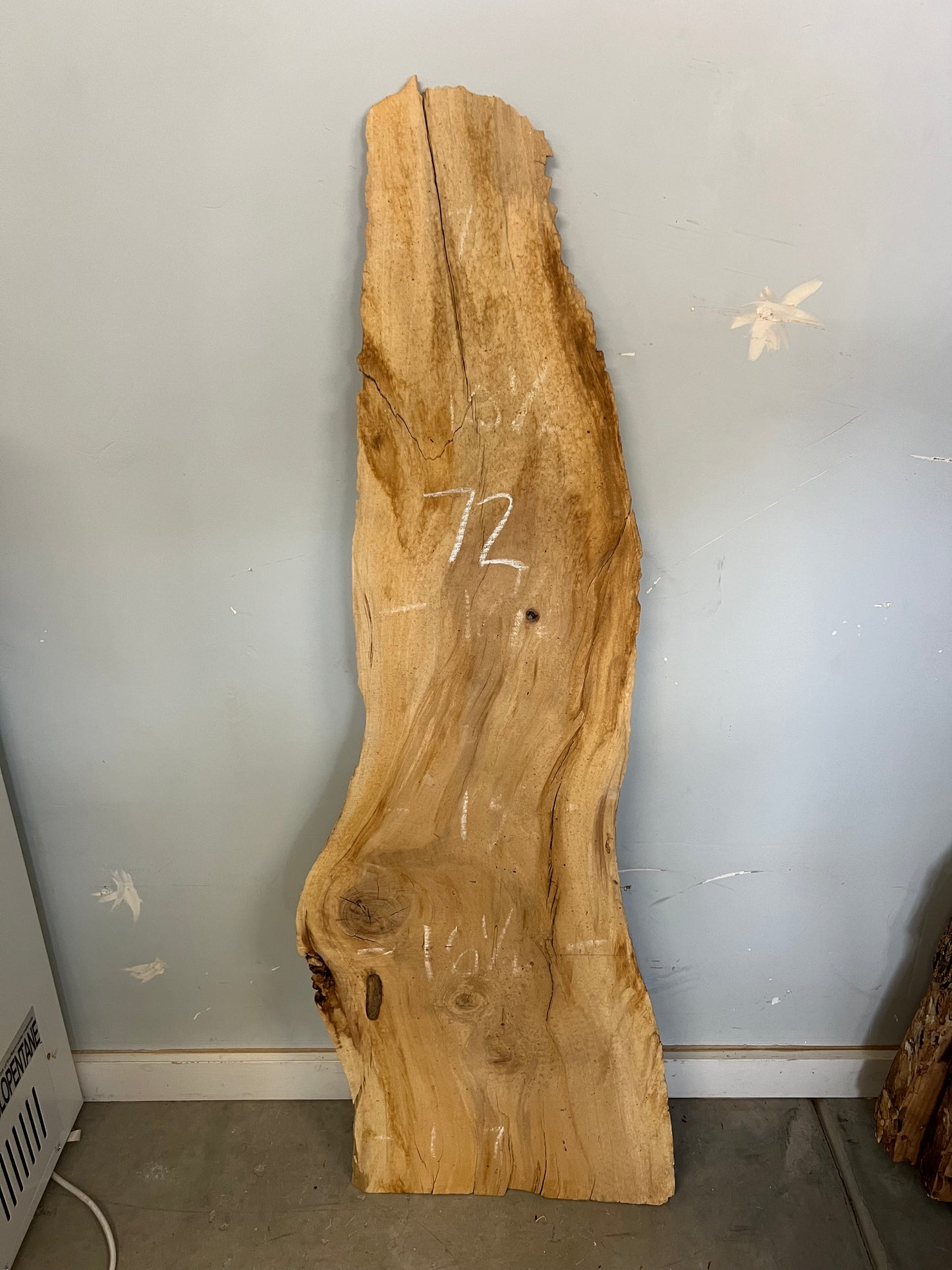 Live Edge Cottonwood Slab 43" (72)