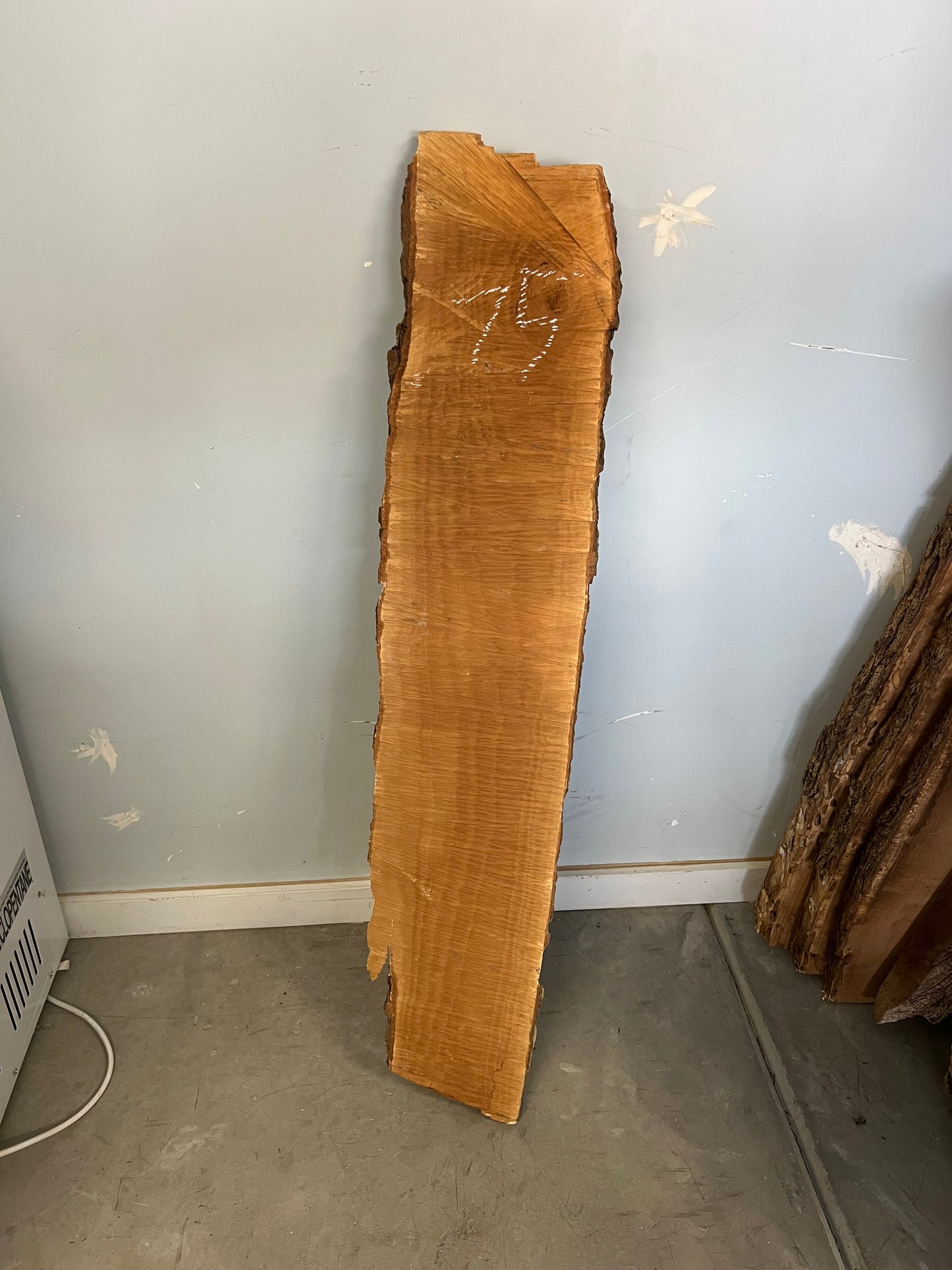 Live Edge Pear Slab 50" (75)