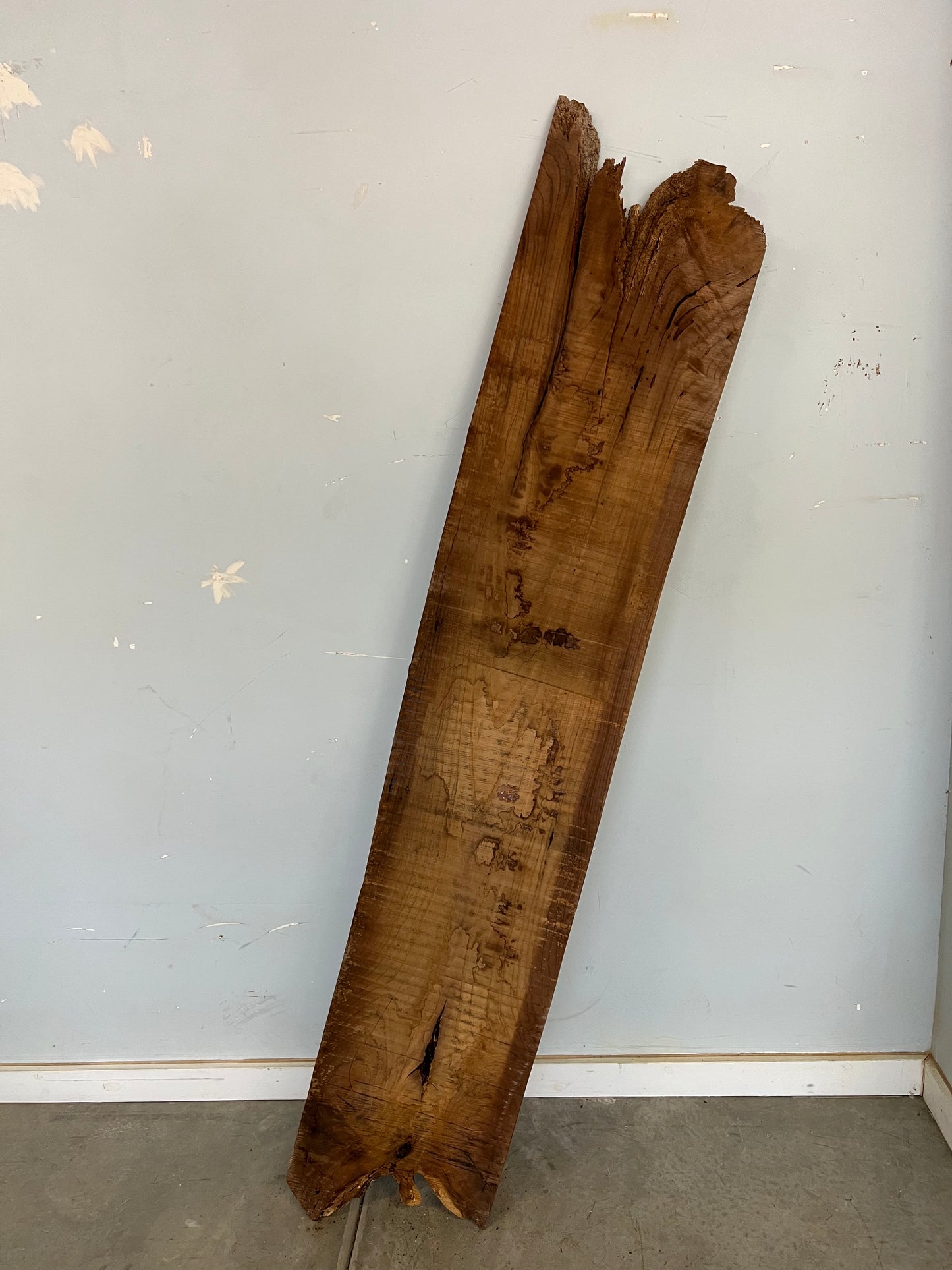 Live Edge Mulberry Slab 61" (8)