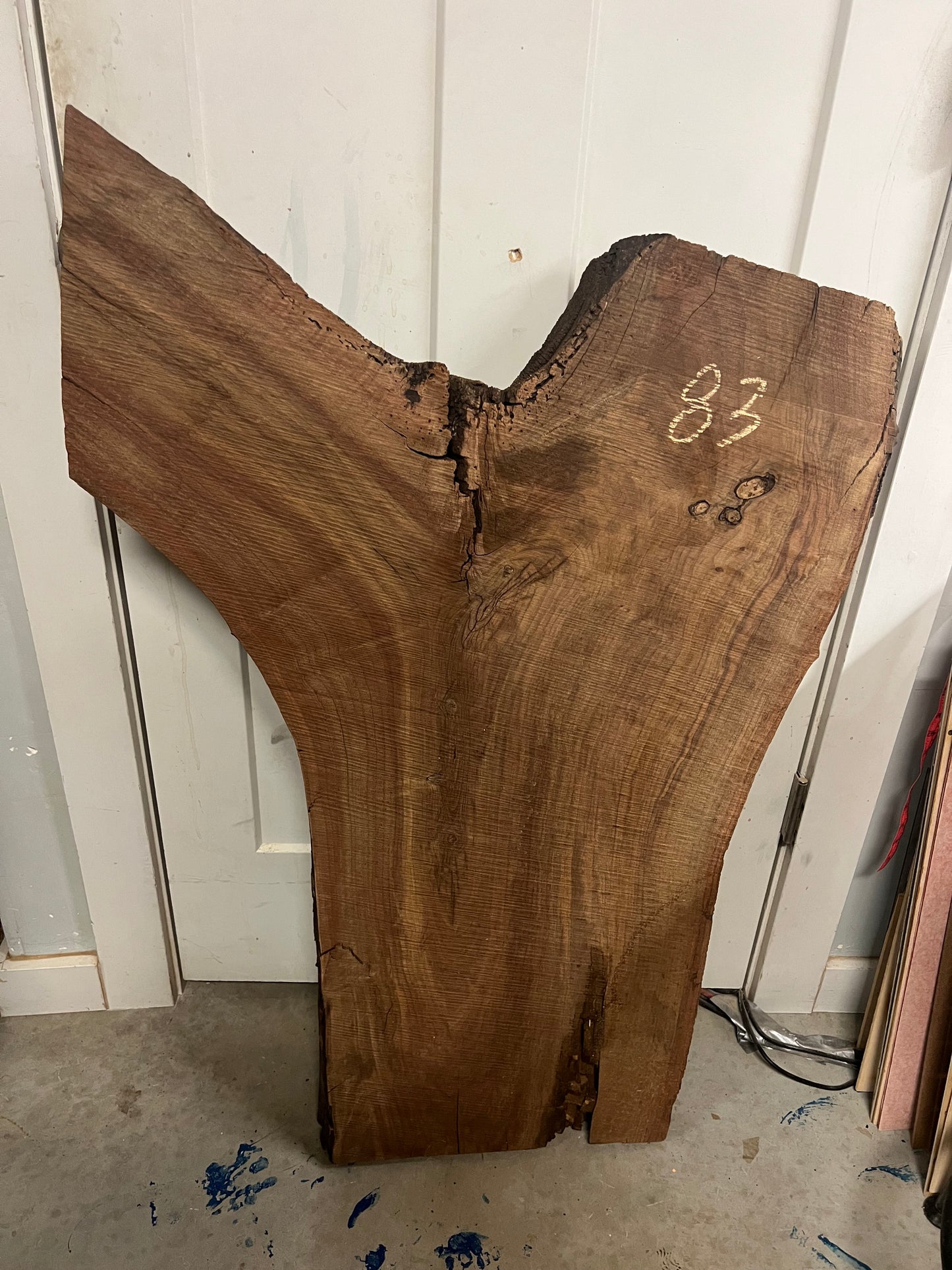 Walnut Live Edge Slab 38" (83)