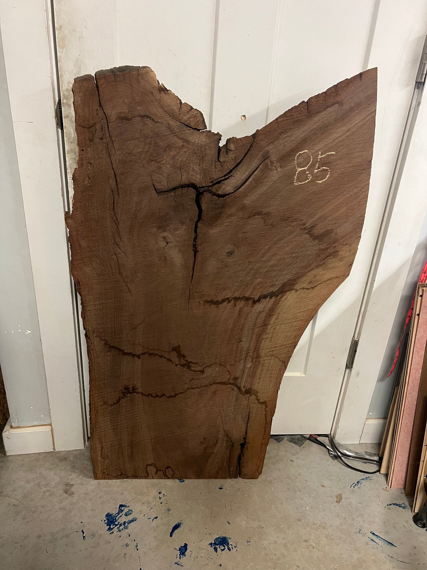 Walnut Live Edge Slab 41" (85)