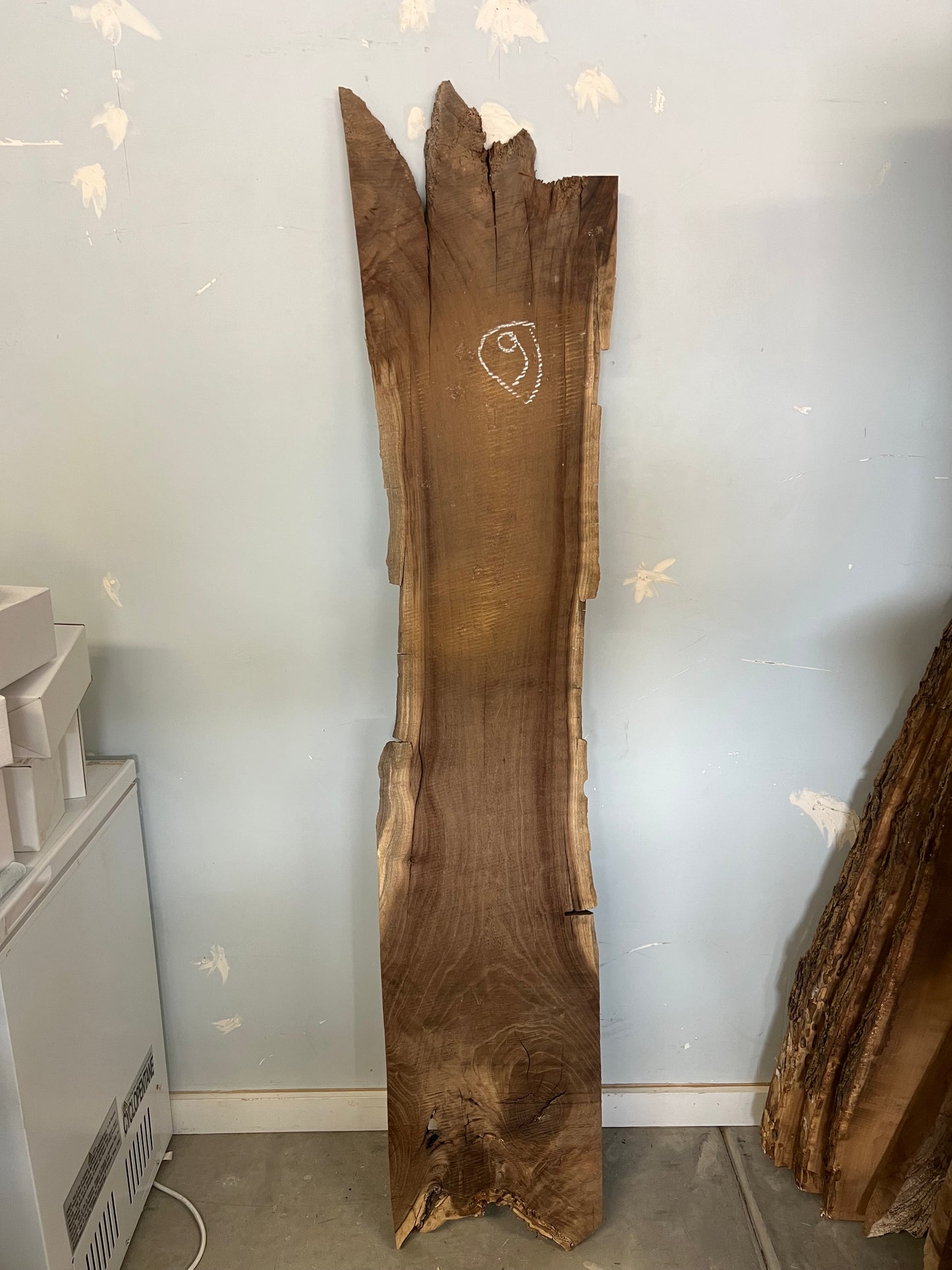 Live Edge Mulberry Slab 65" (9)
