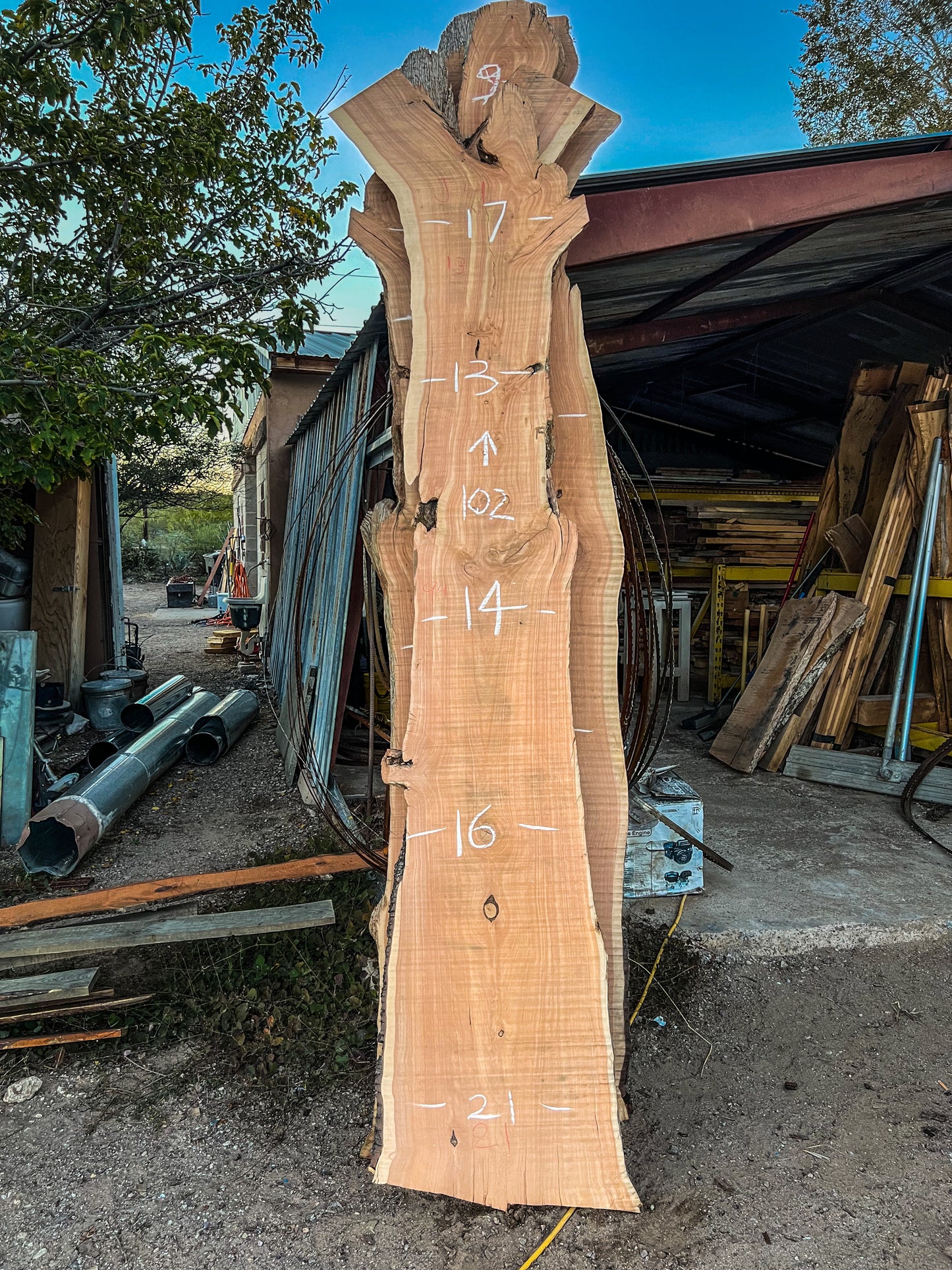 102” Live Edge Juniper Slab
