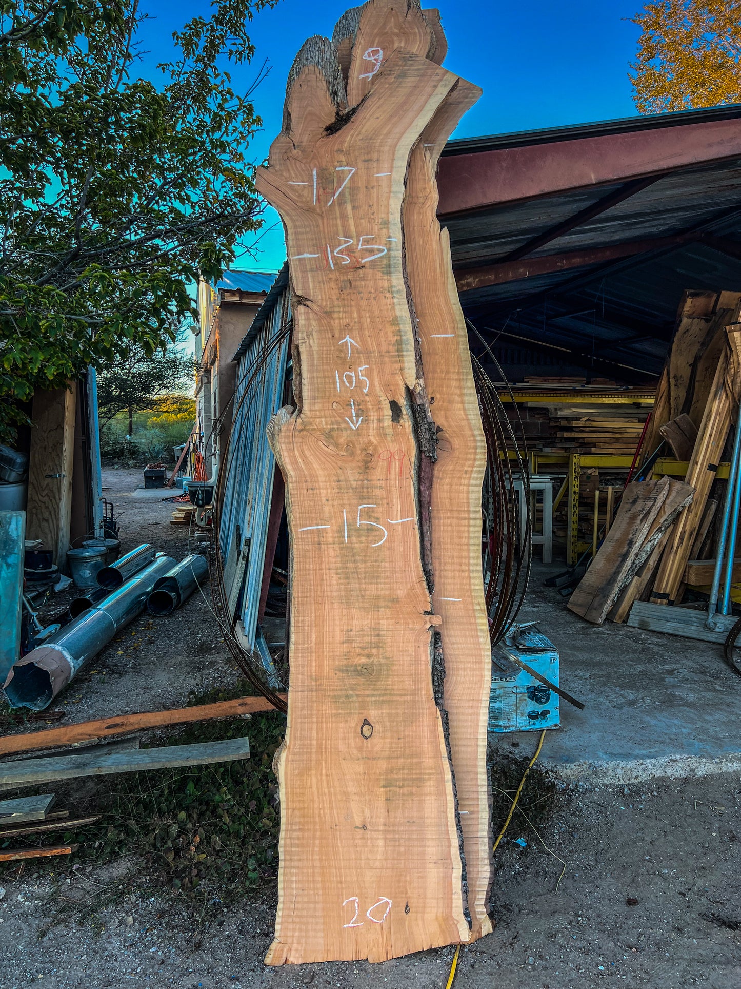 105” Live Edge Juniper Slab