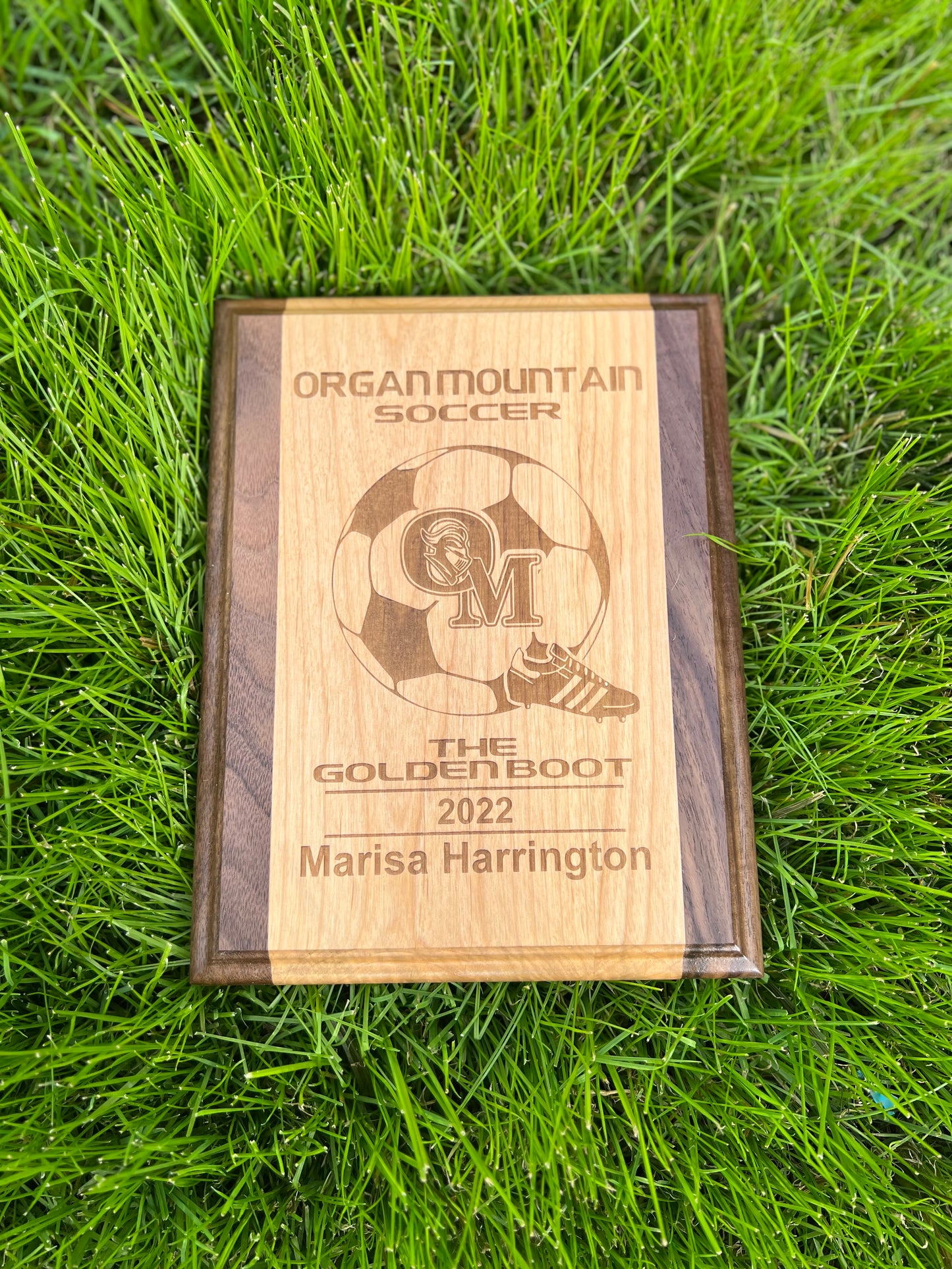 Walnut & Alder Wood Plaque