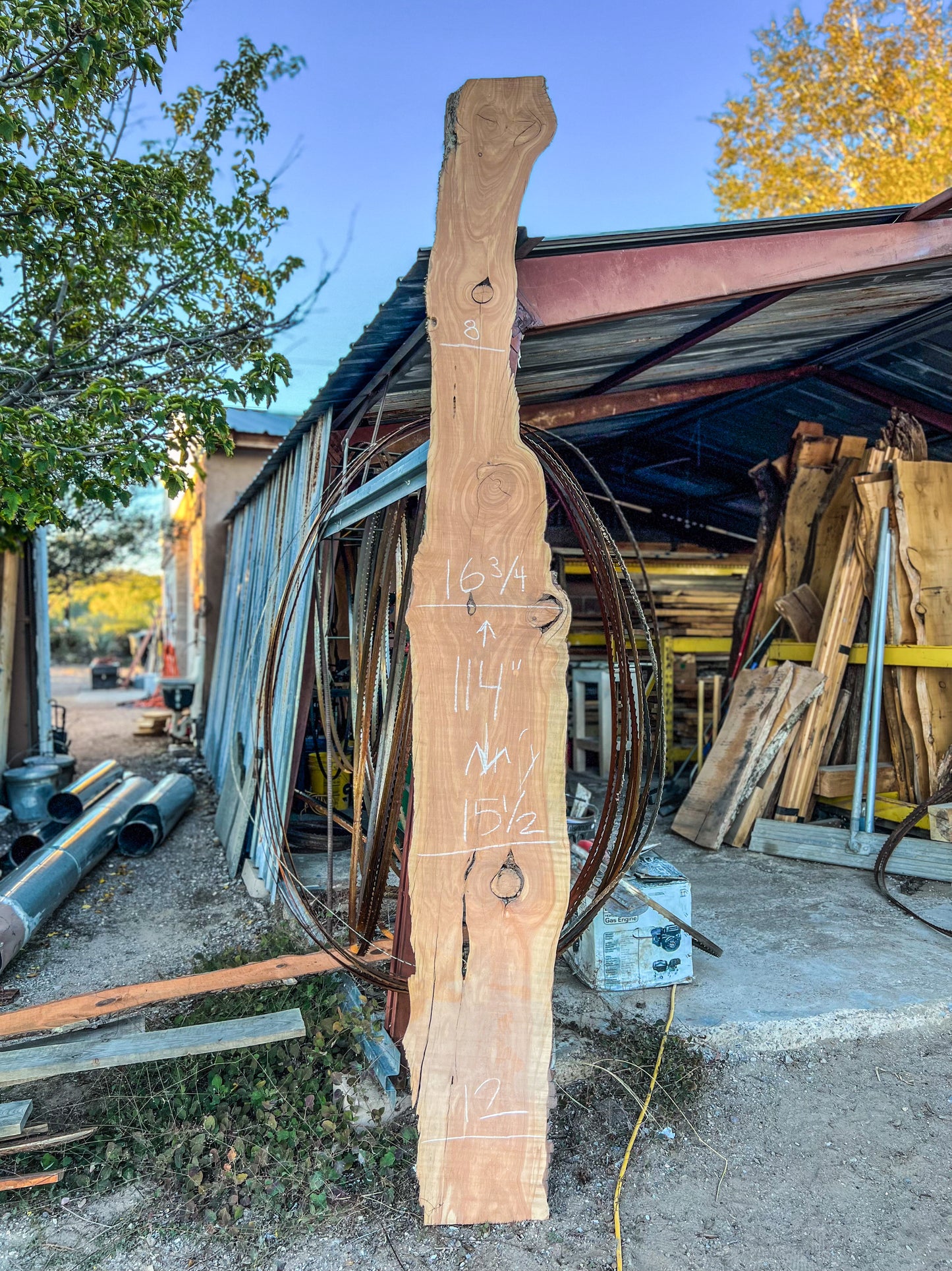 114” (A) Live Edge Juniper Slab