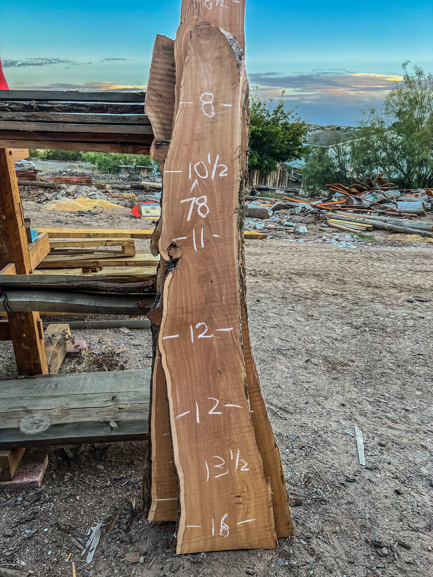 78” (B) Live Edge Juniper Slab