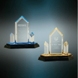 Jewel Tower Acrylic Award